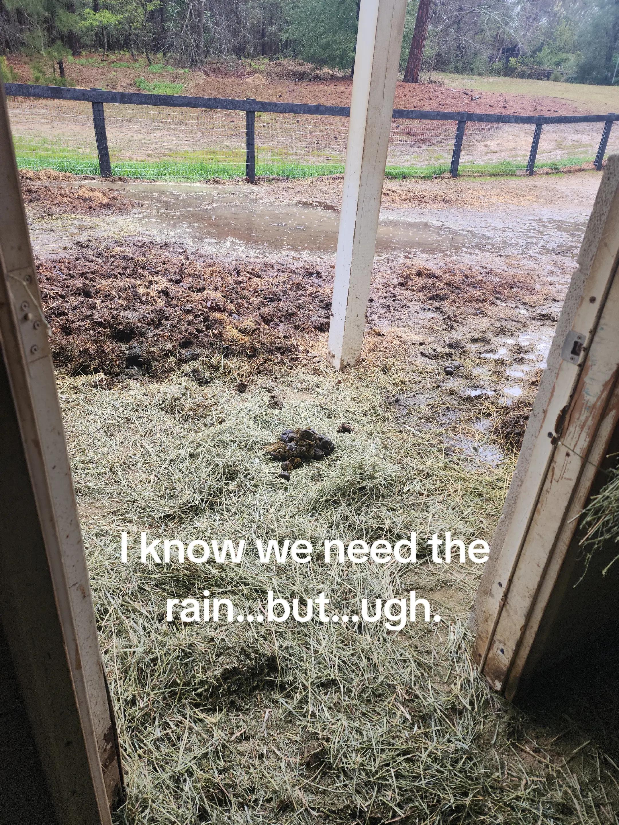 @Almost Perfect Acres