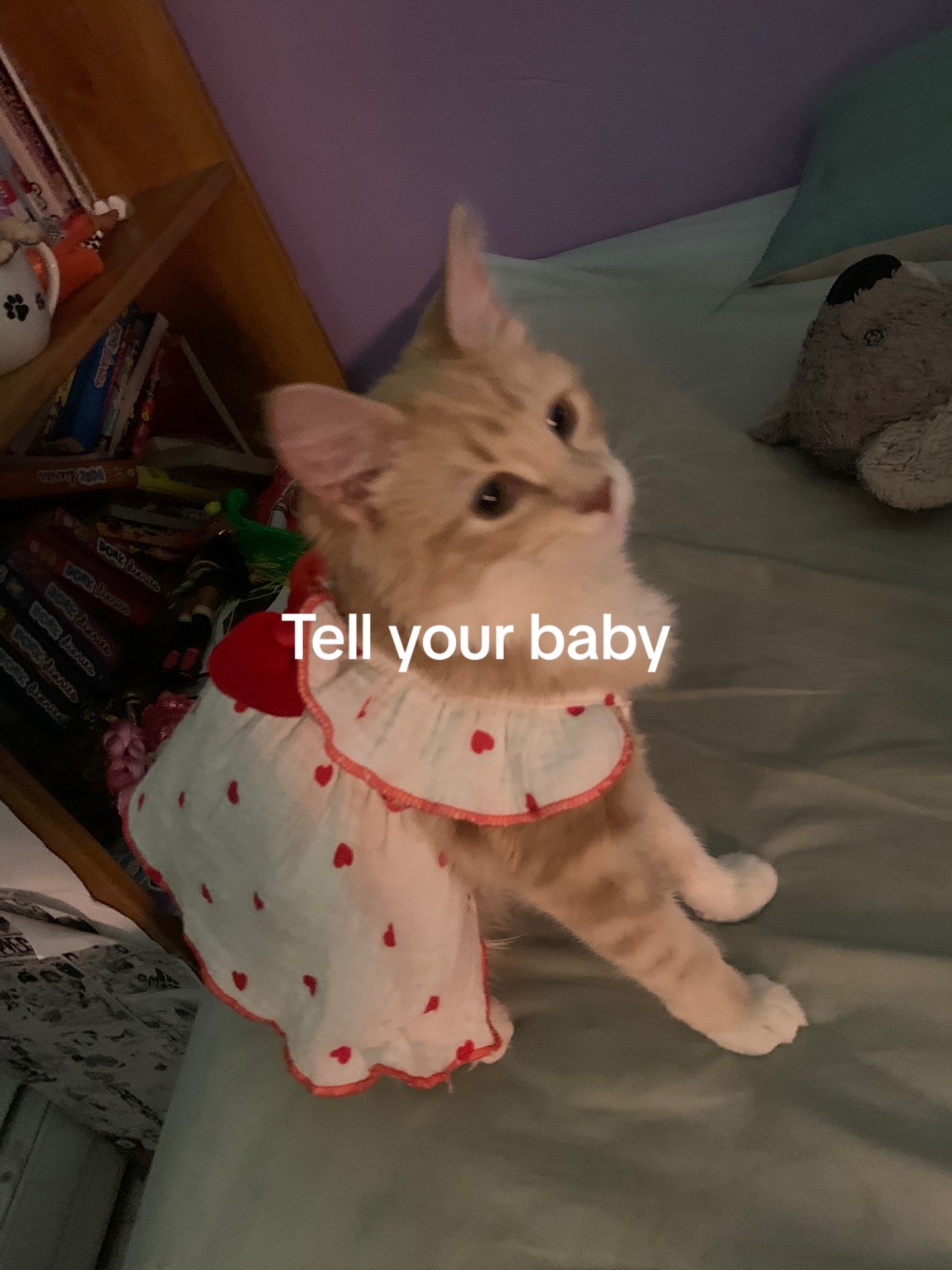 @ᙏOᑎᗩᙅᗩ TOᙎᗩ