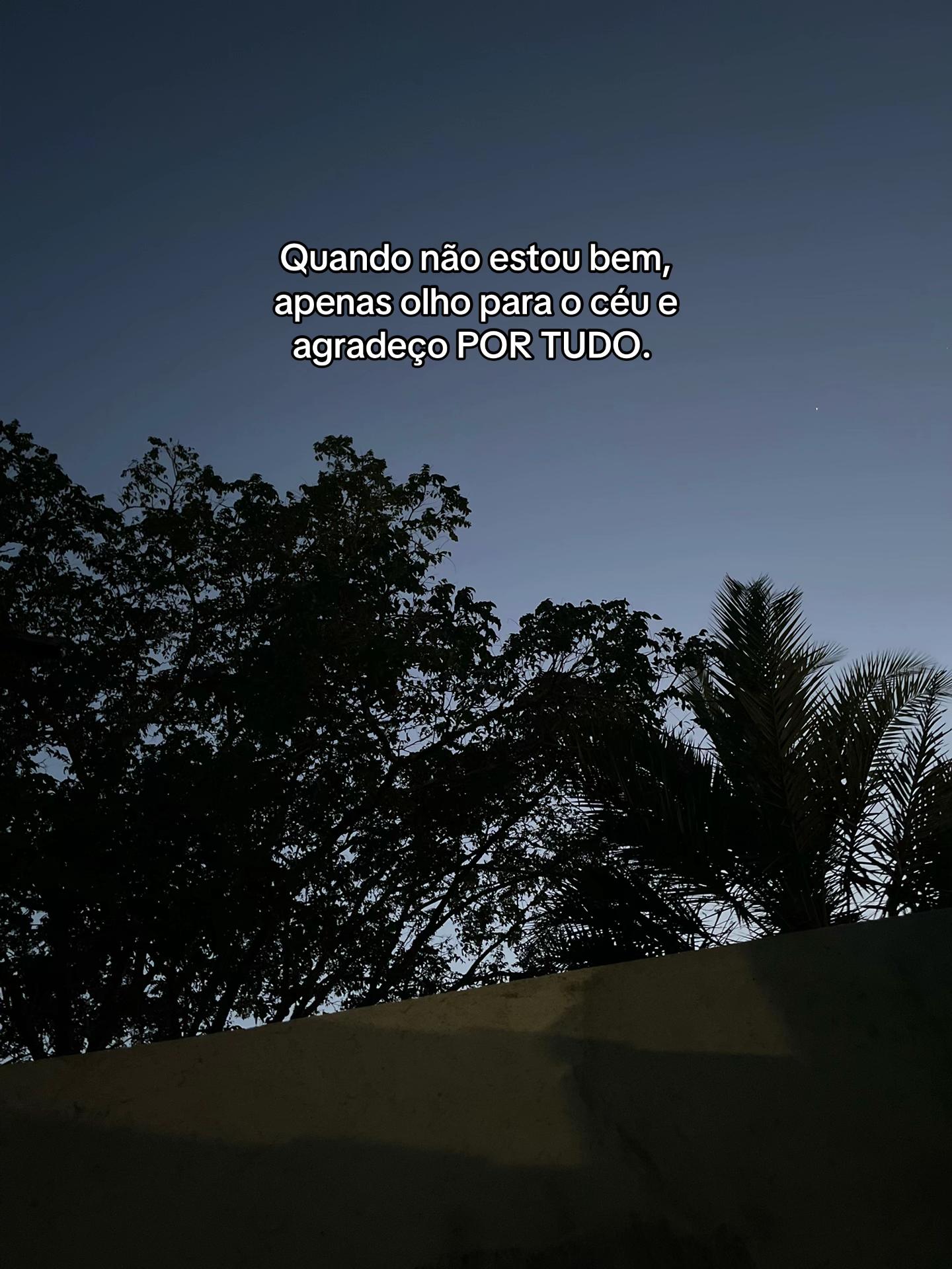 @FerreiraR