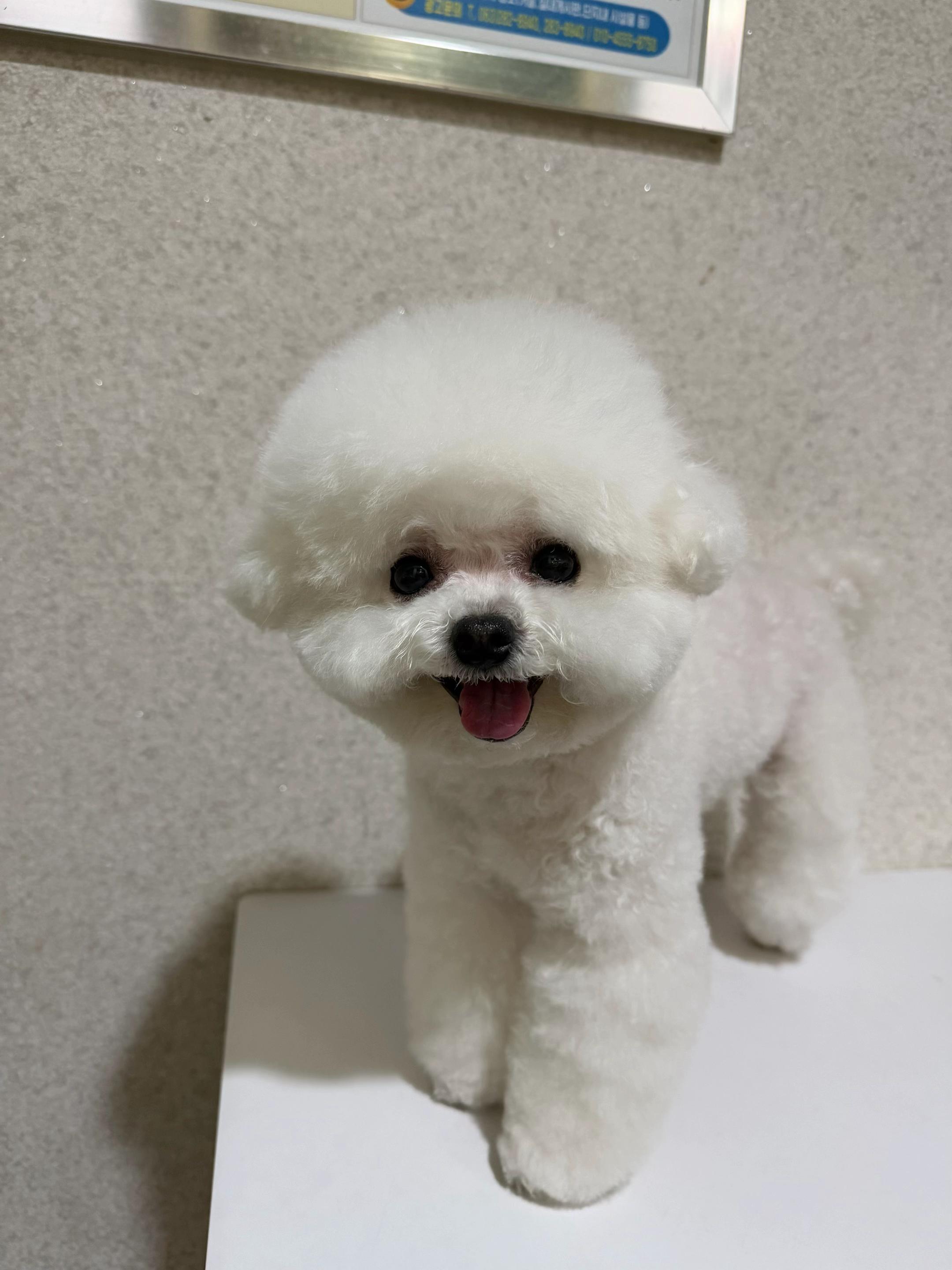 @โจ๐์บฃ๋ฏธ๐โจ๐ชฝ