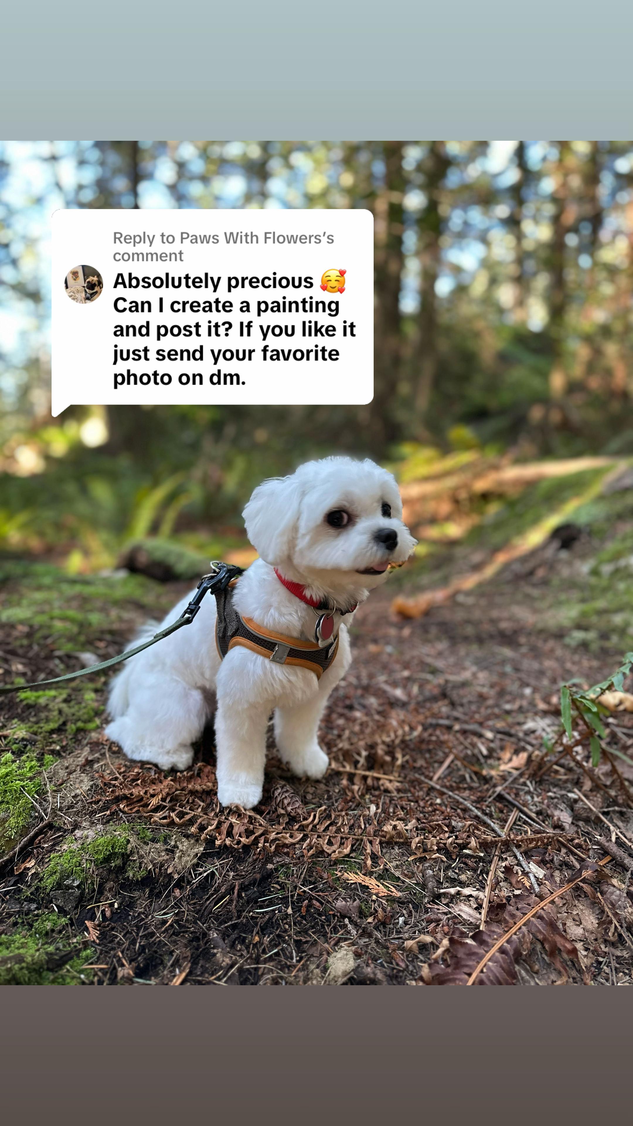 @theluckymaltese