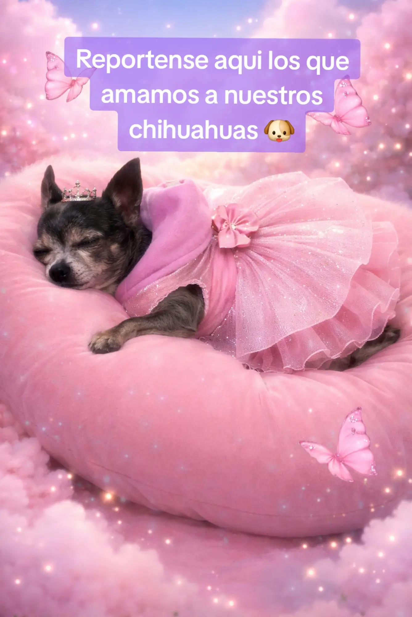 @ChiwaBull