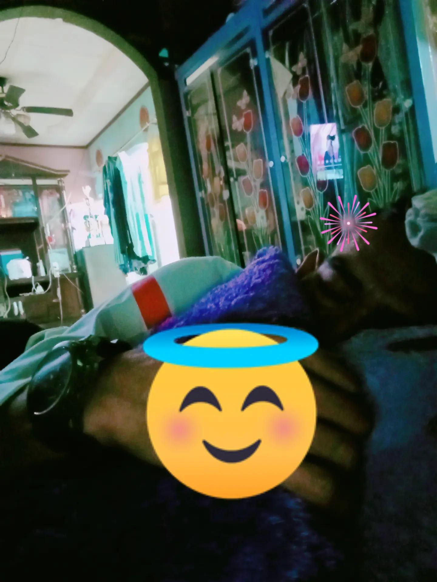 @Baraya77
