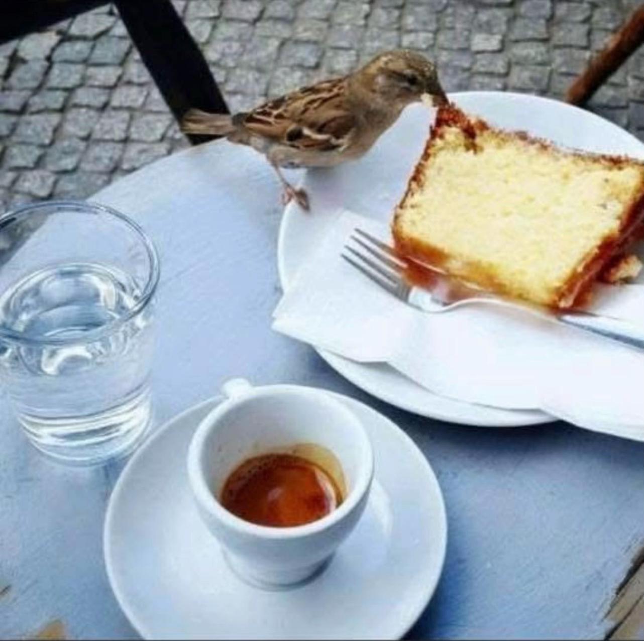 @Gezimi Dent Plazh Durrës!