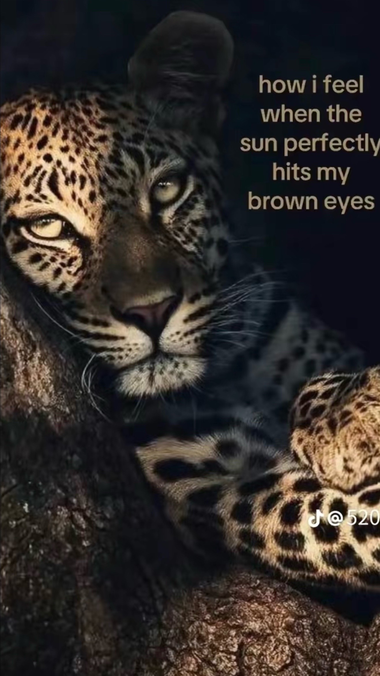 @cliterally
