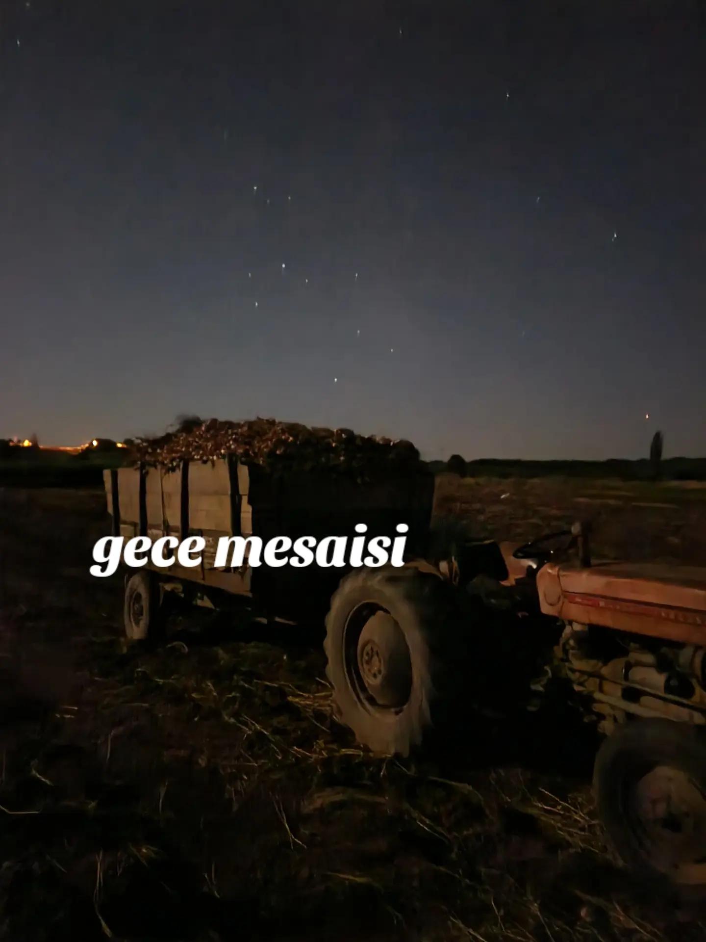 @mustafa Gül