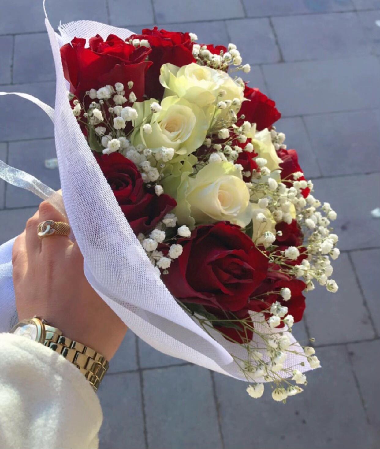 @اناقة الميرال