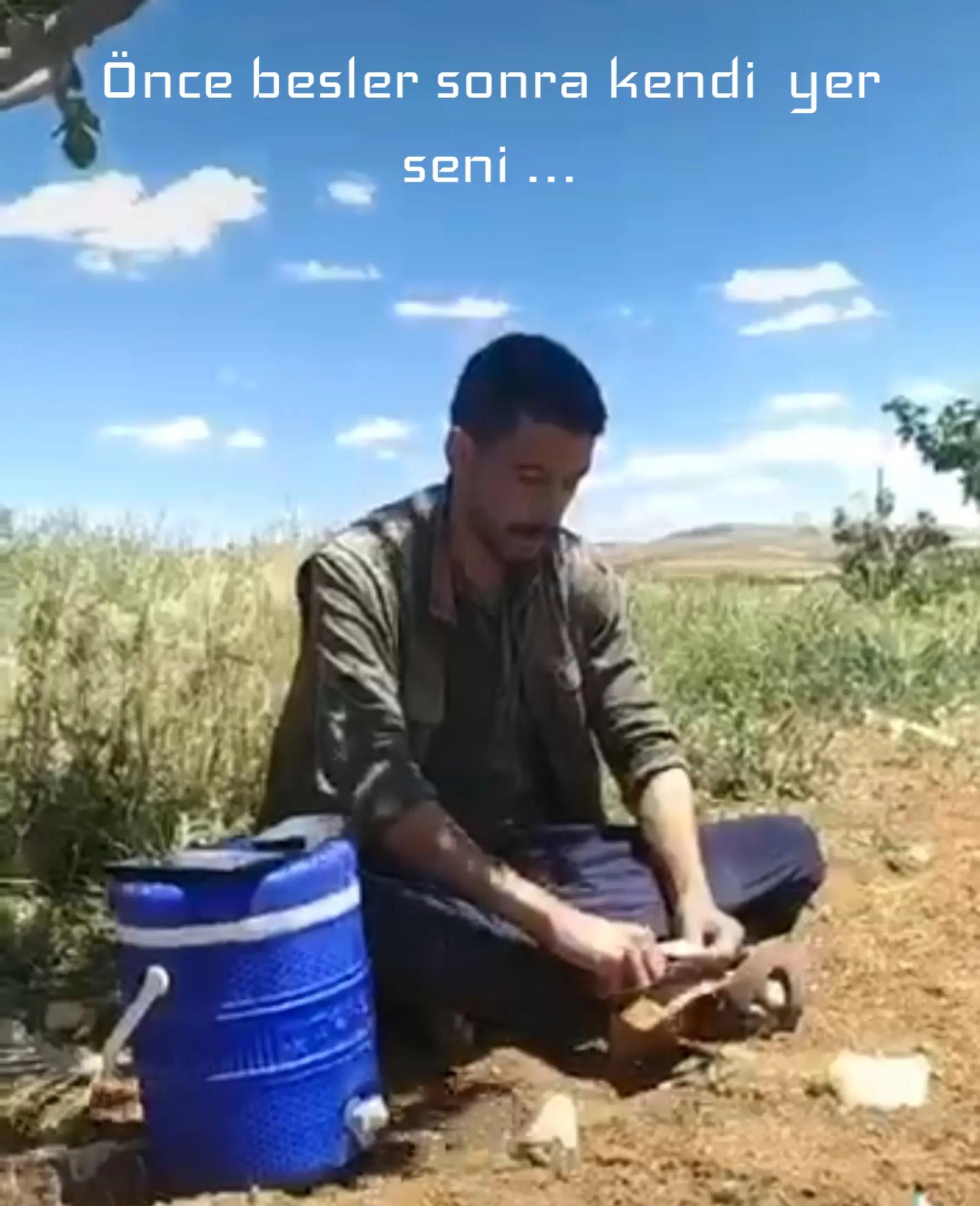 @Memocan Şeddatlı