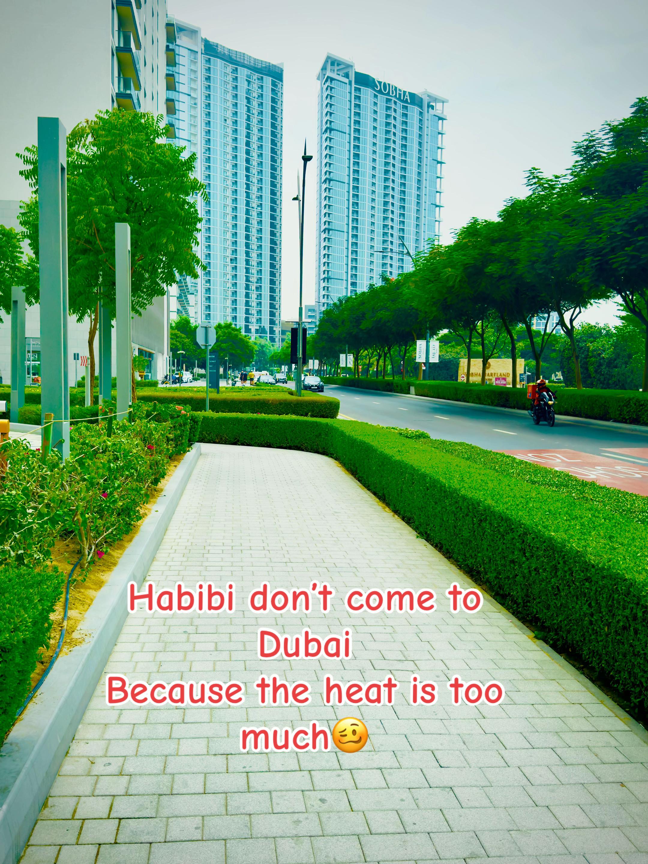 @HASNAIN