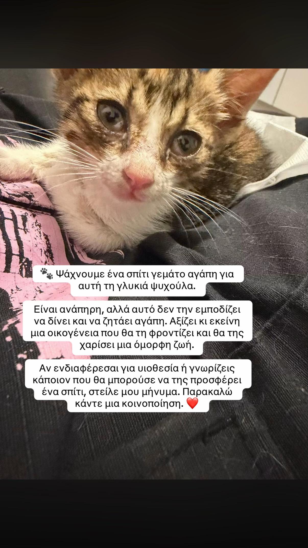 @Katerrr.m