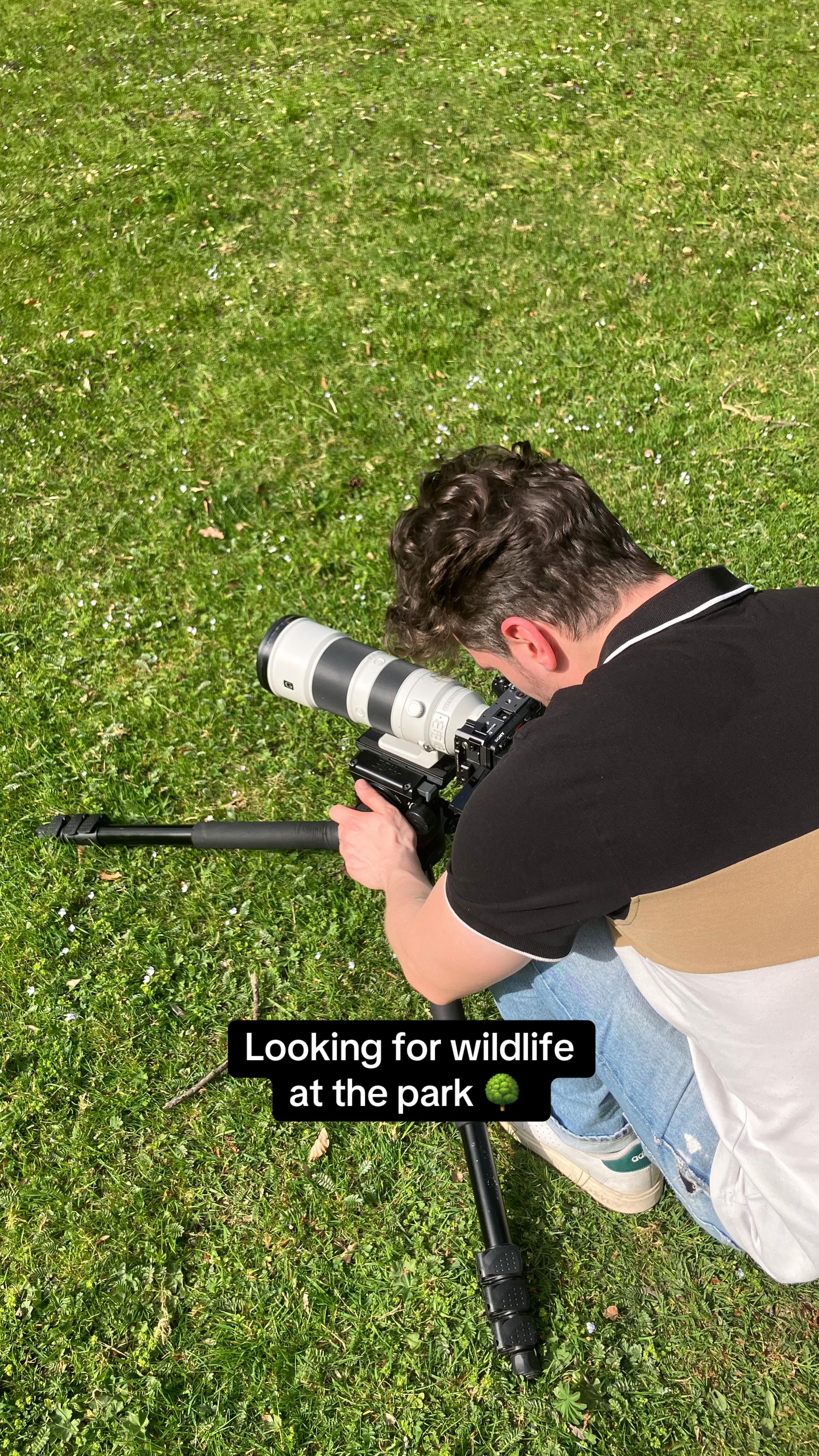 @robinswildlife