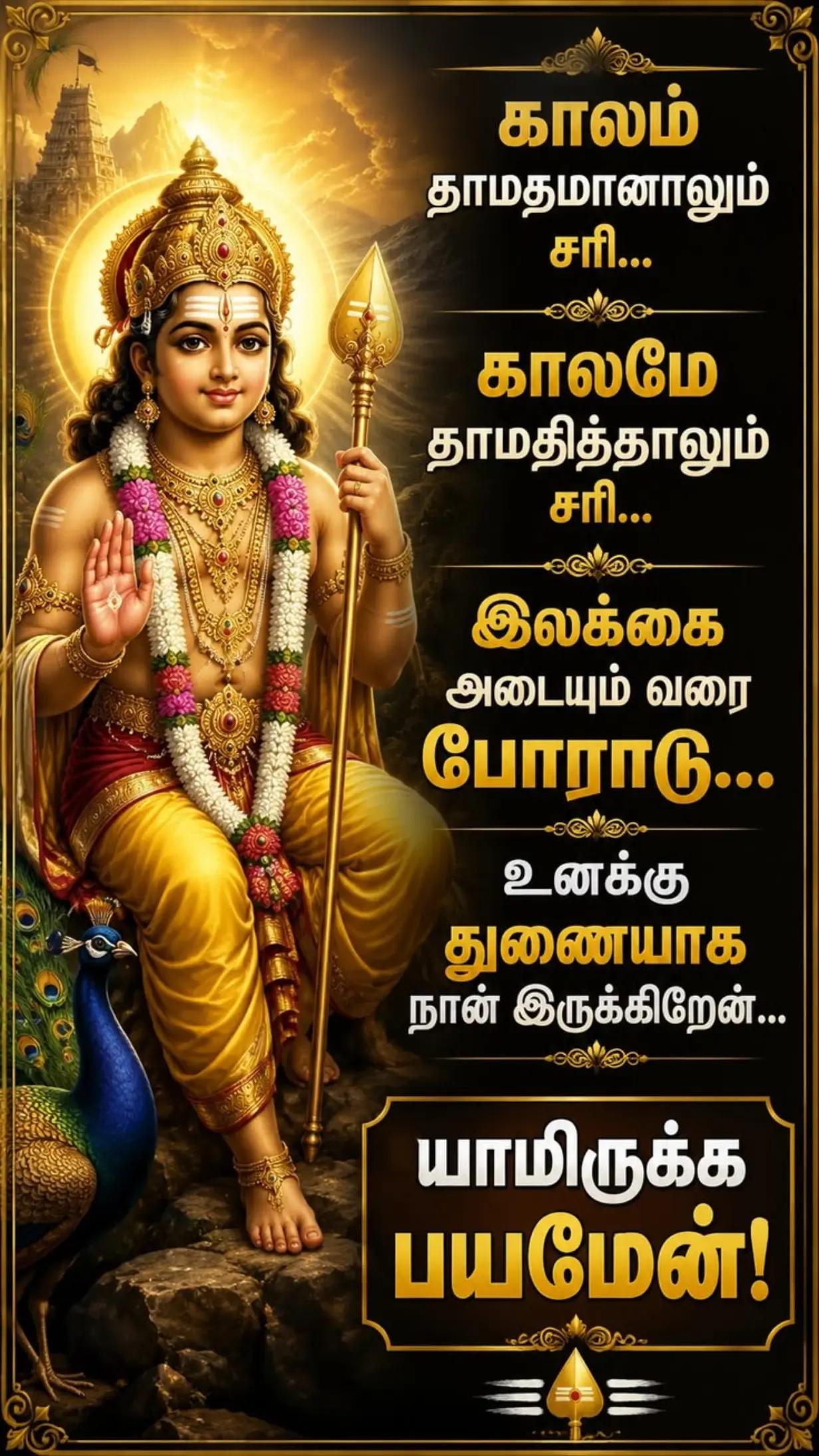@💫larinee24💫