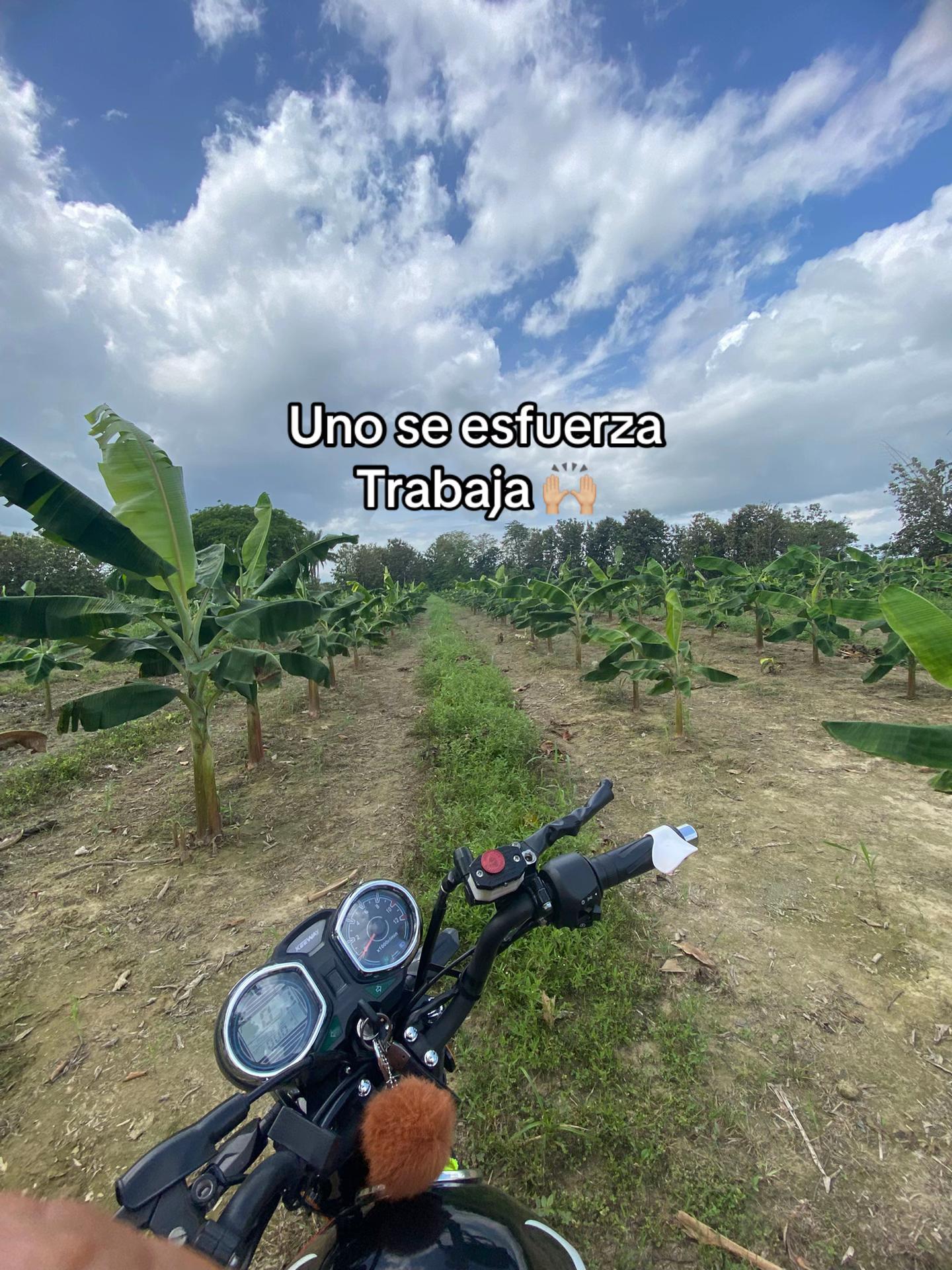 @Jesus D&iacute;az 