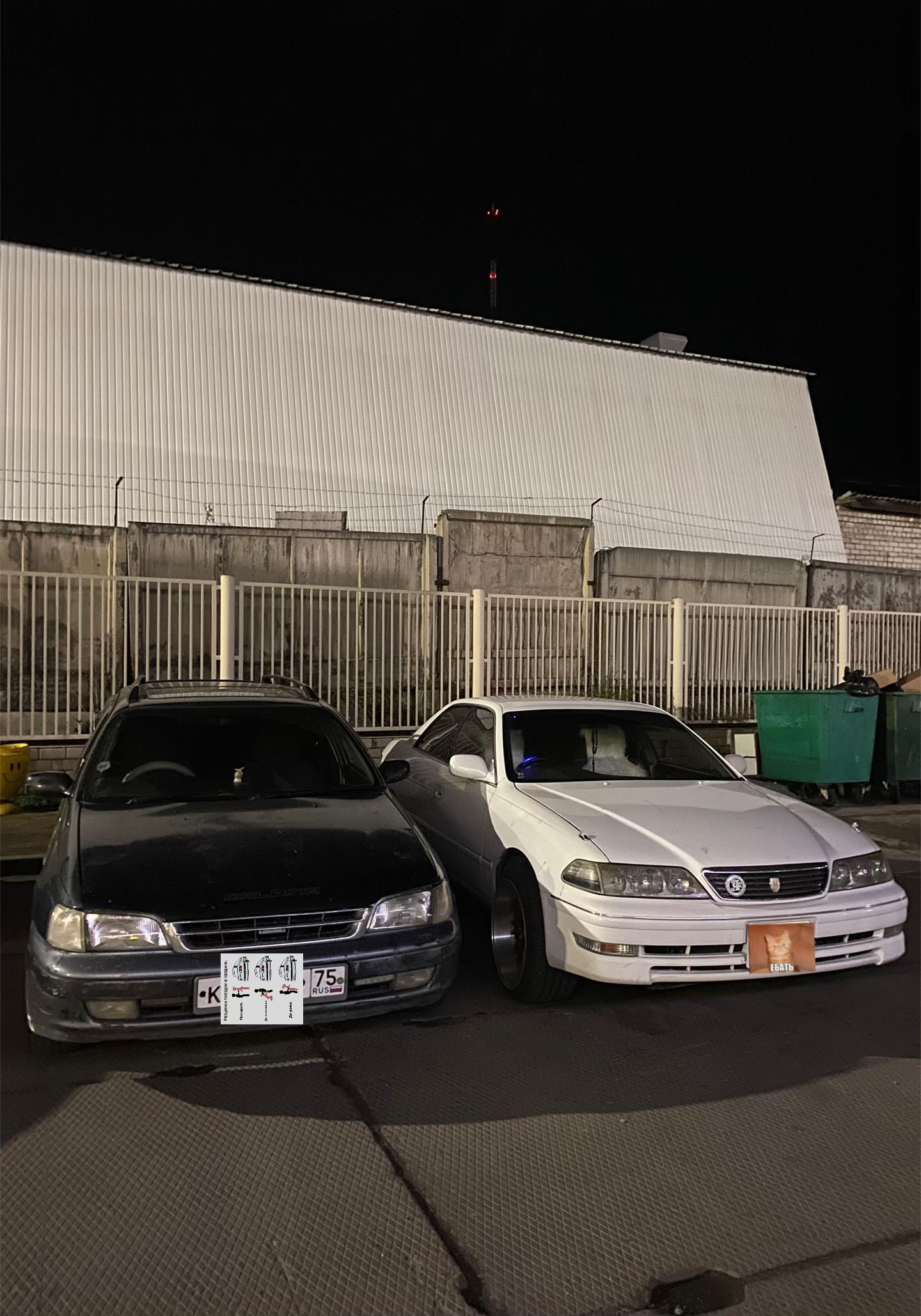 @Traditional_bat