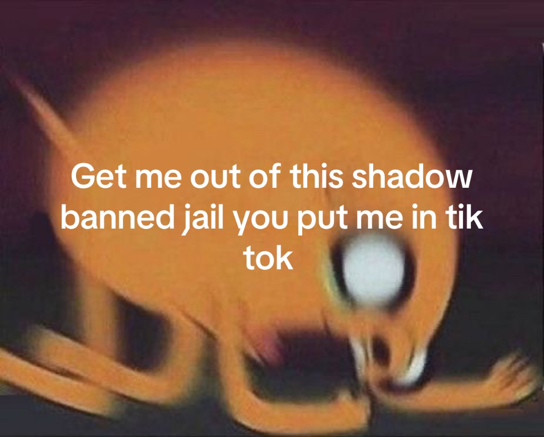 @viewFNDR