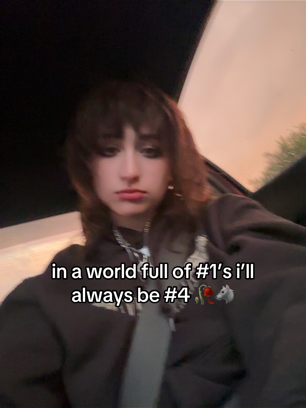 @raccoon