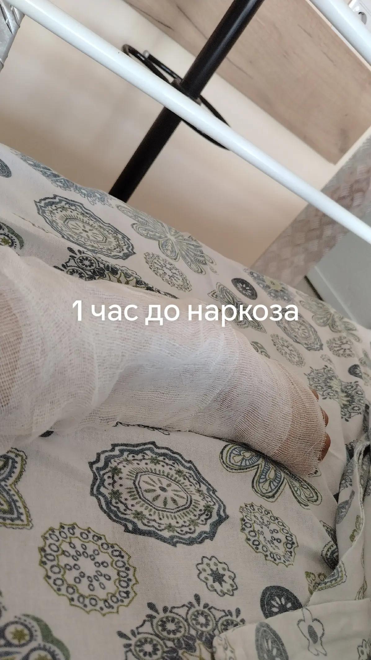 @культ мопсов