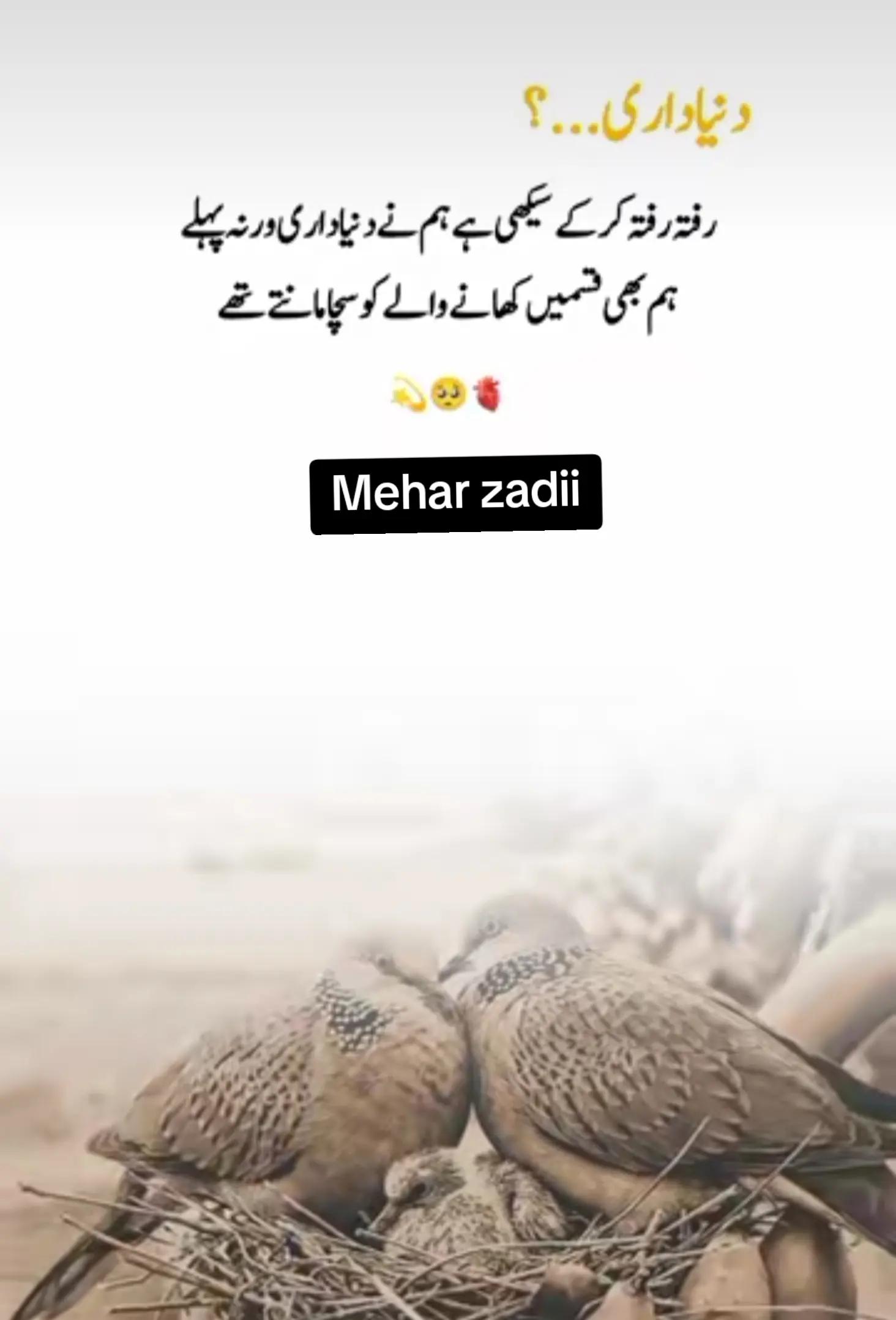 @Mehar Zadi 🖇️🤞🏻