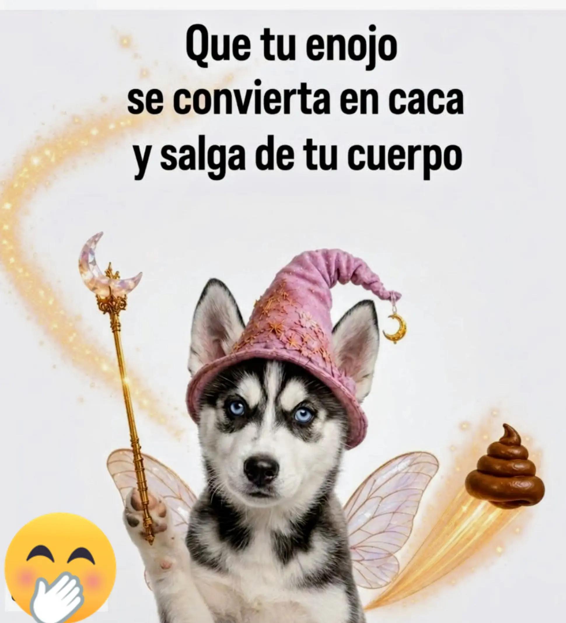 @Rodriguez Tiana