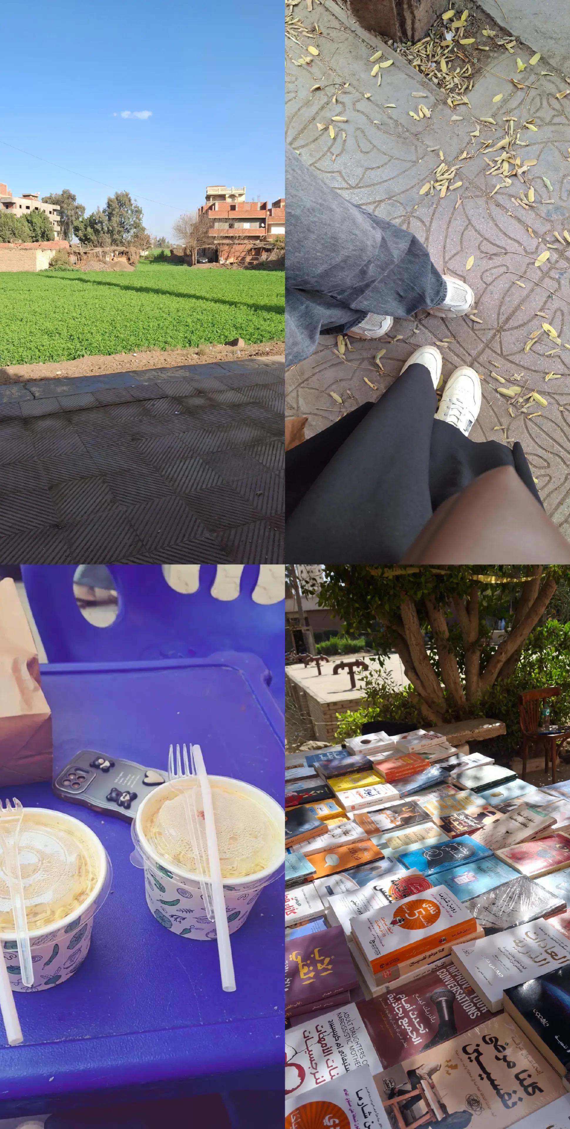 @DODA๐๐บ