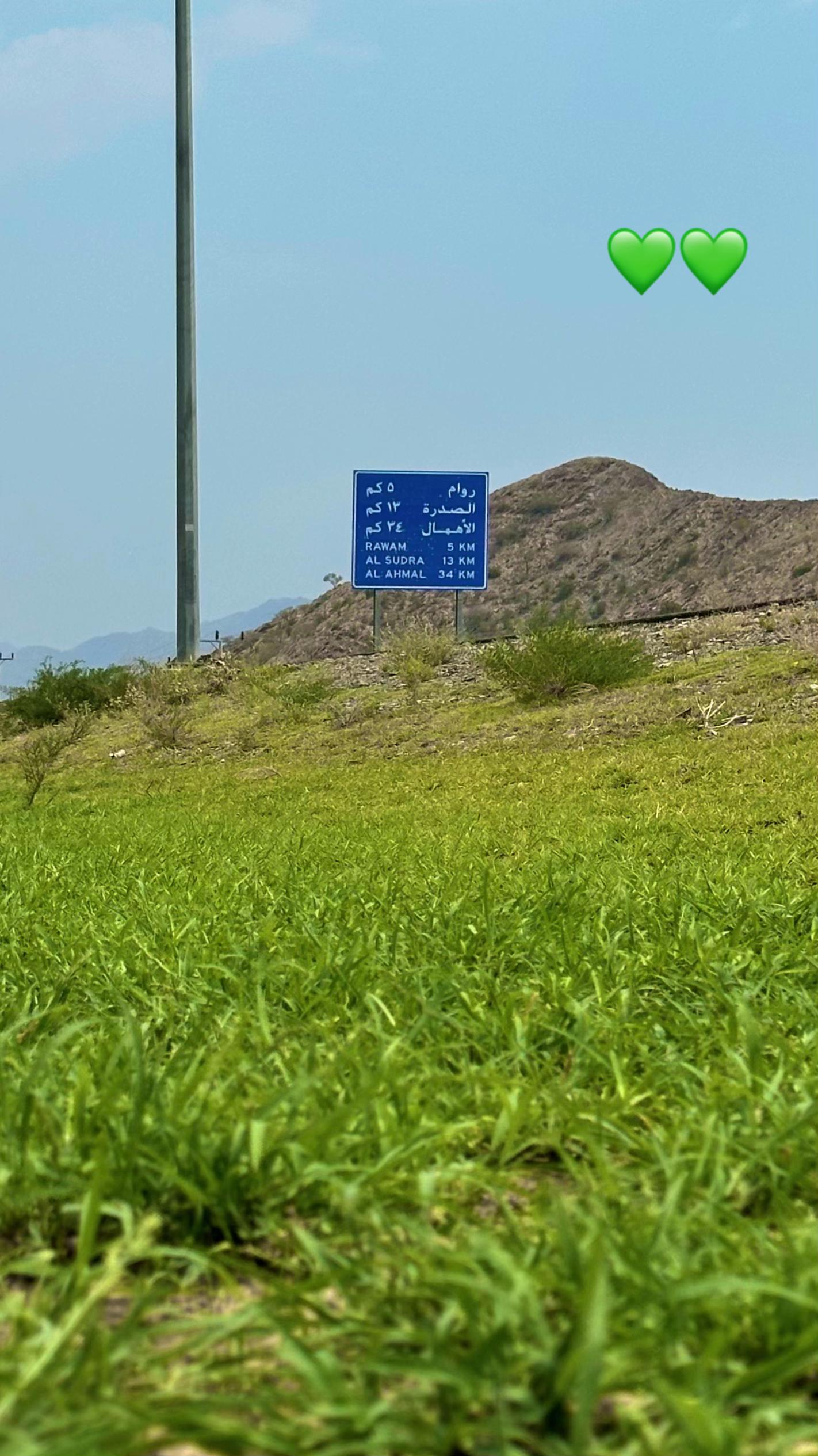 @عبدالله بن ليلان ( خريف عابر )