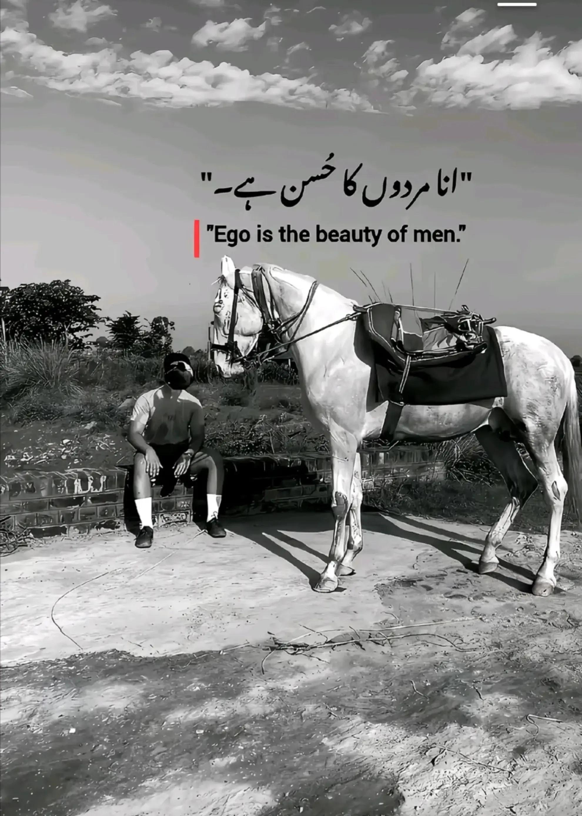 @Jhanzaib Hussain ♡