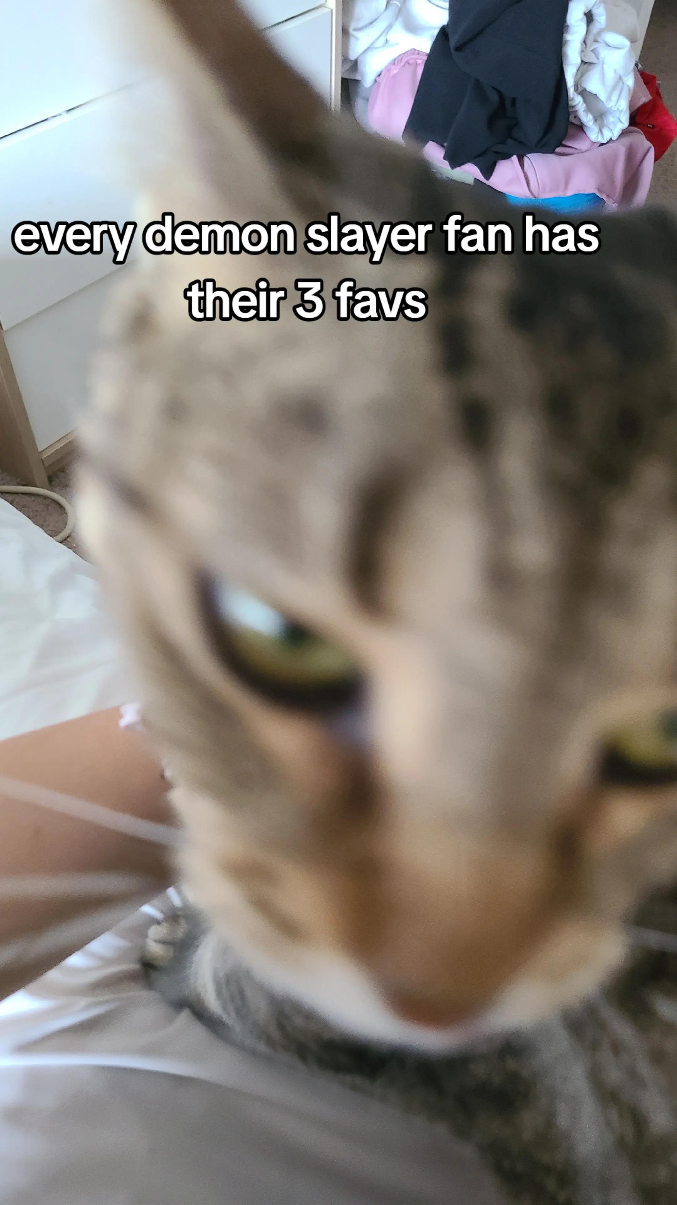 @๐งโ๐ฏ๐๐๐๐๐๐ :>