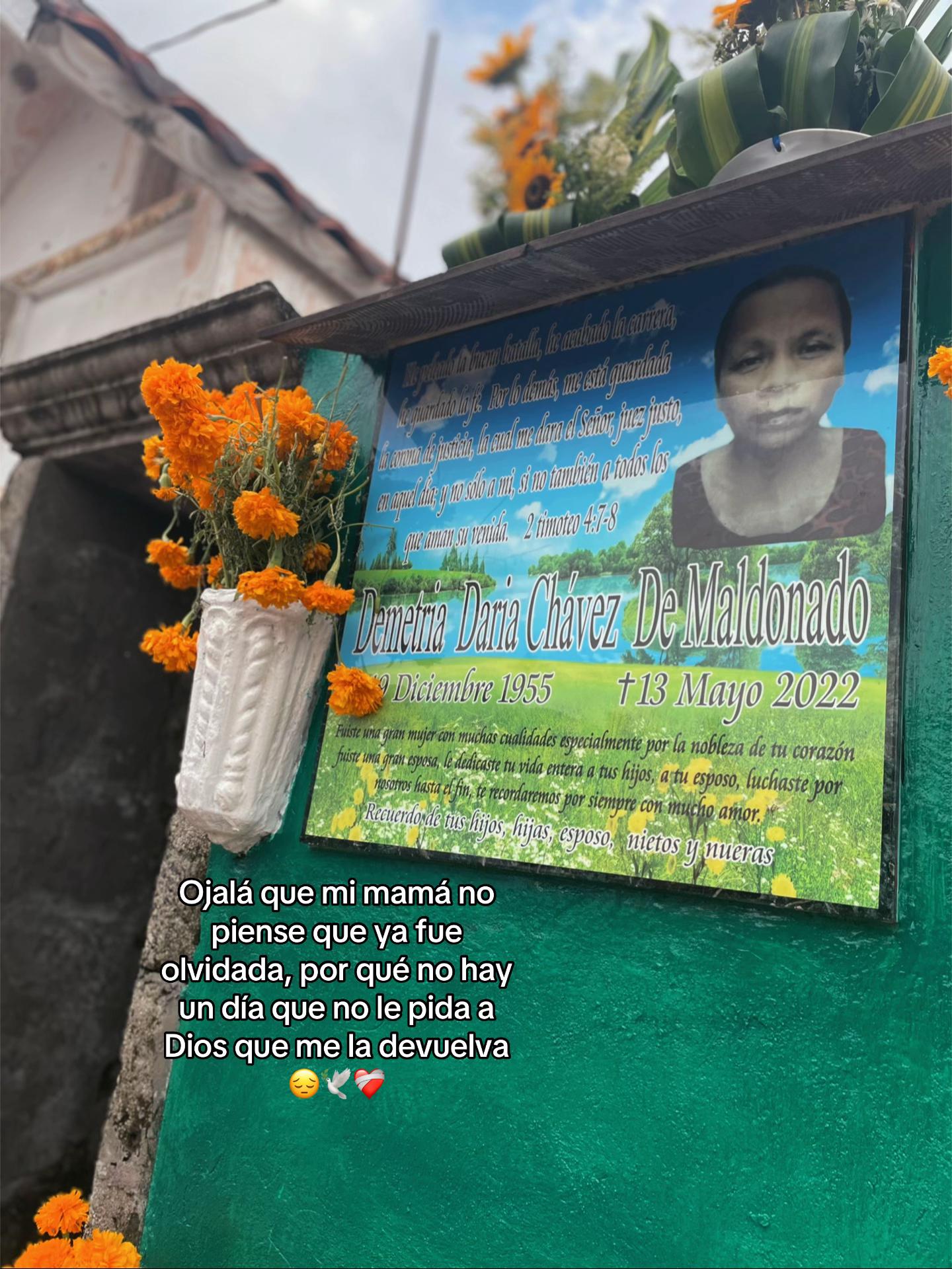 @Maldonado🥷🕷️