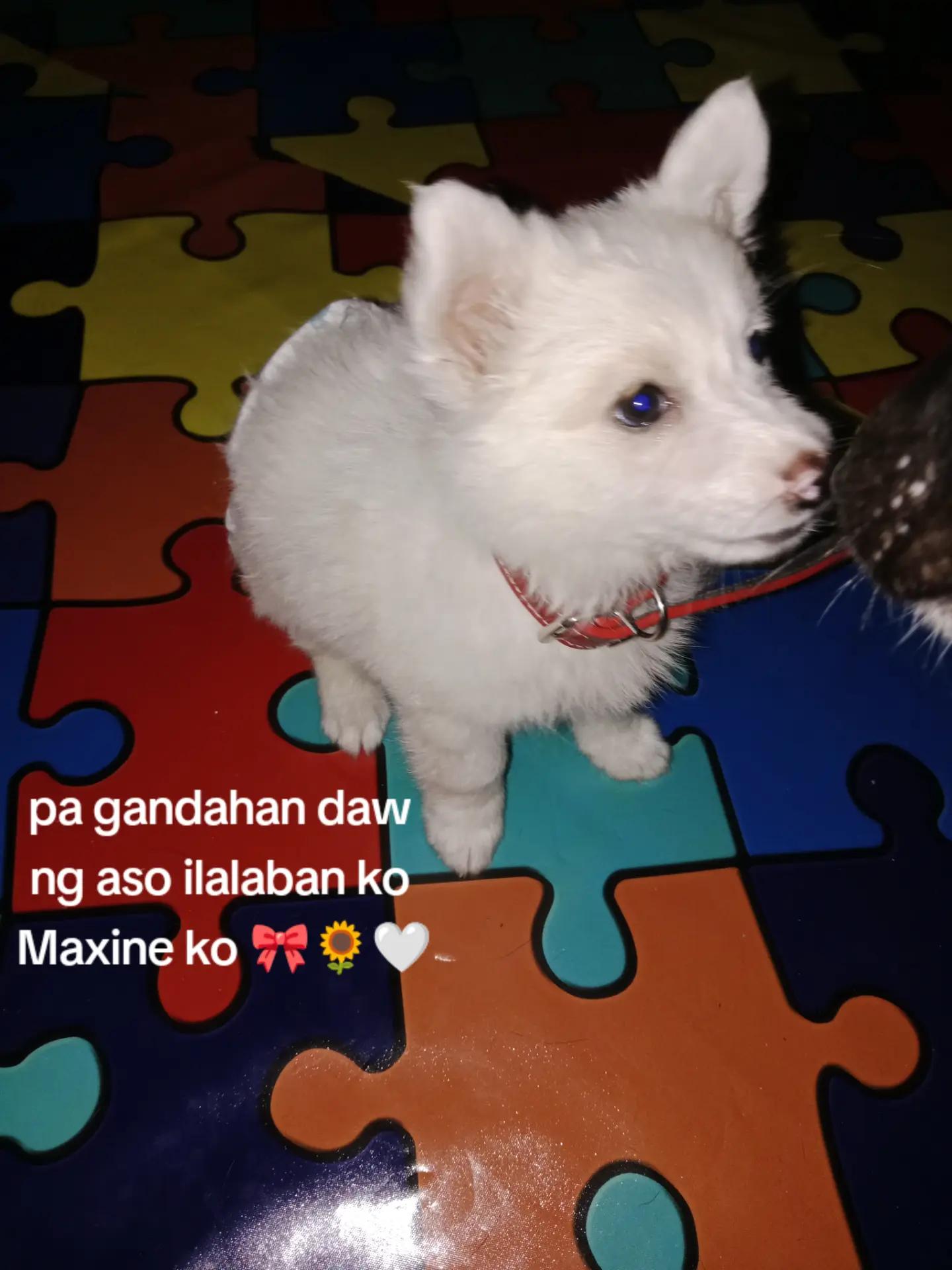 @jelianna🇵🇭