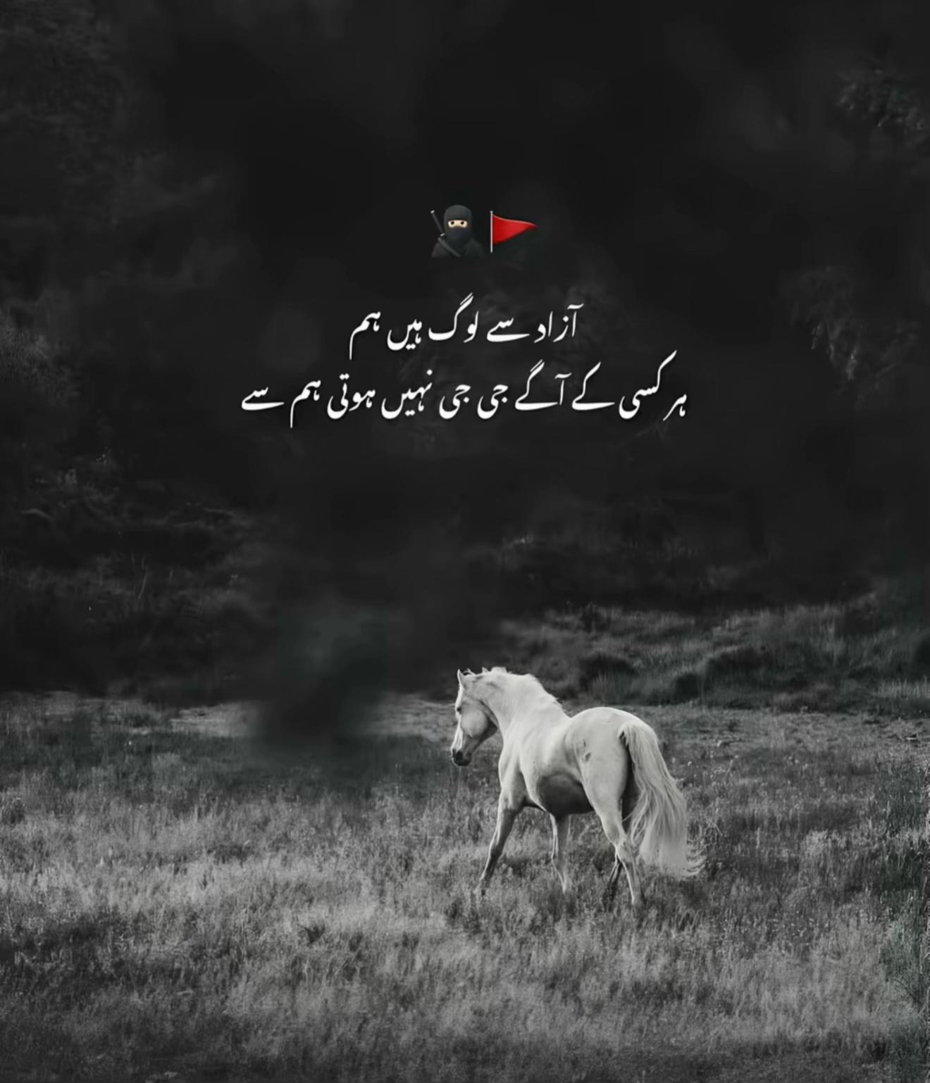 @حمزہ🫆☠️