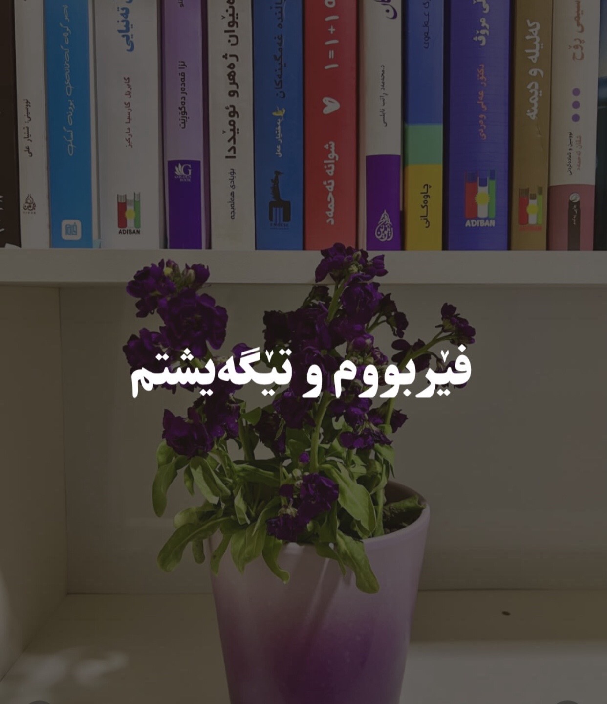 @﮼هەنا⚜️✨