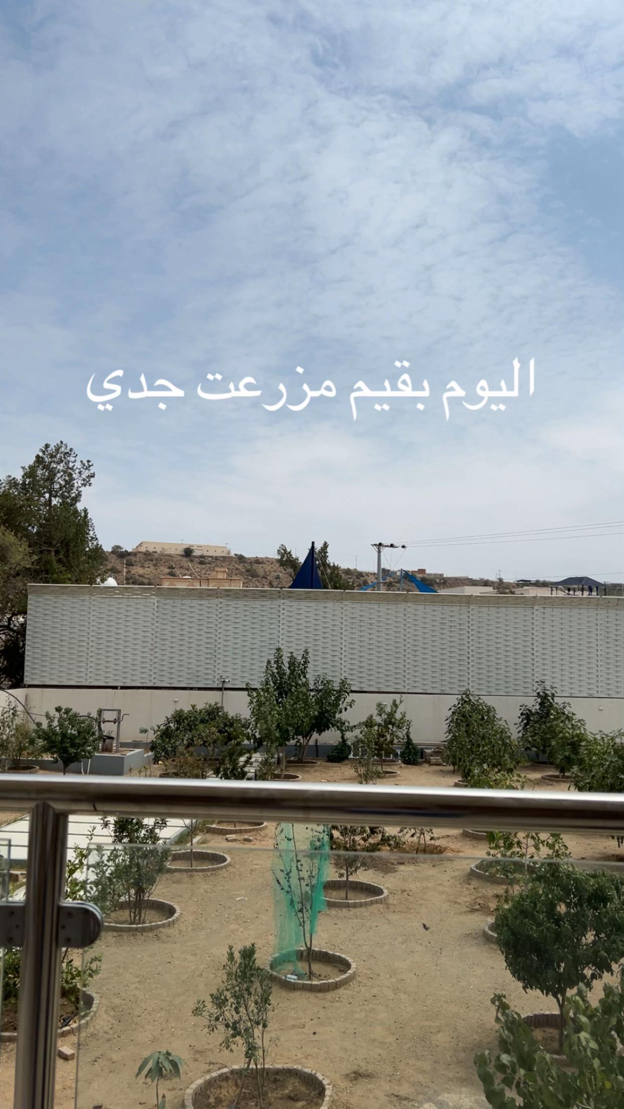 @Magbool alghamdi🫡