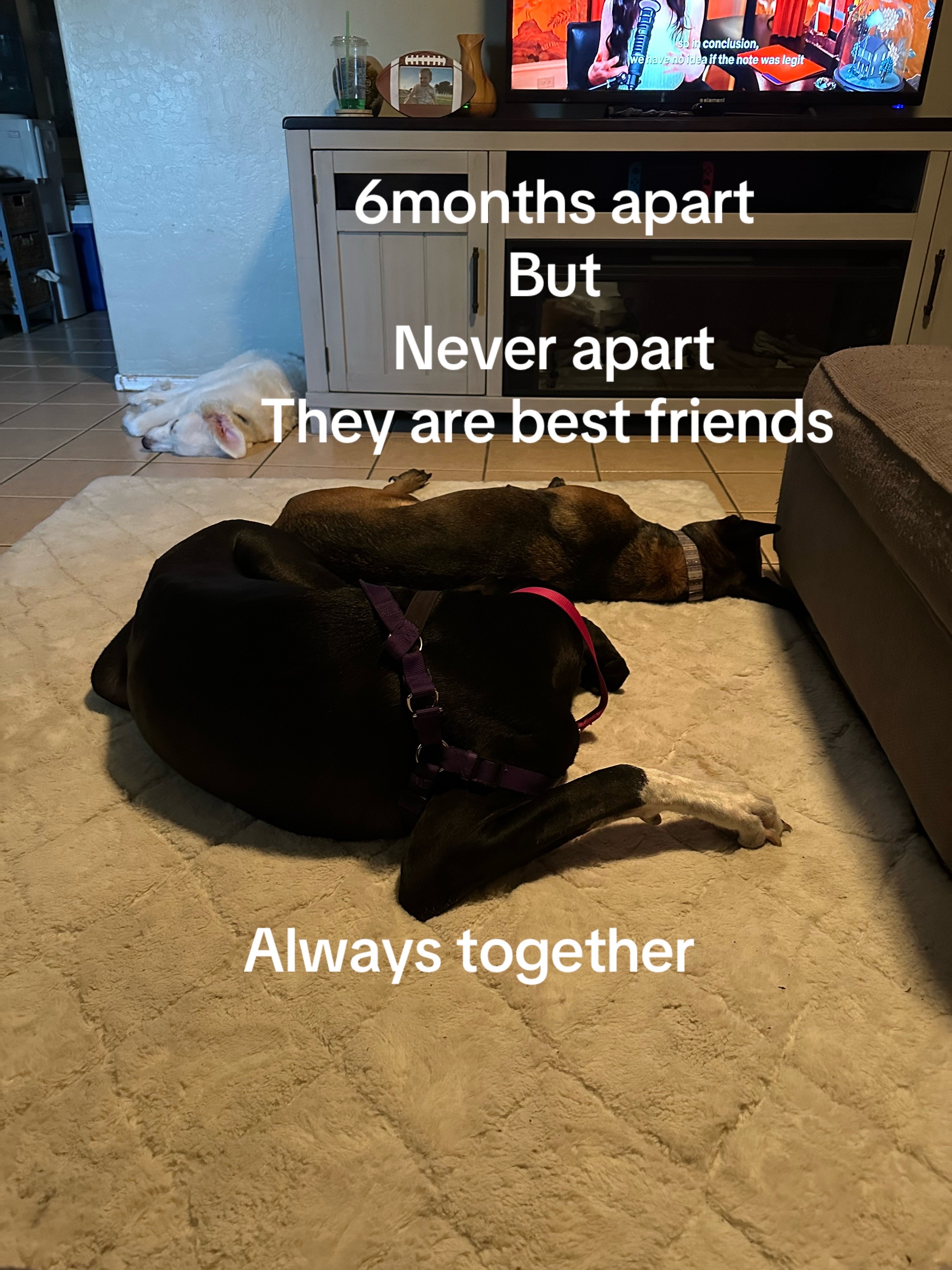 @MayMay La Bruxa