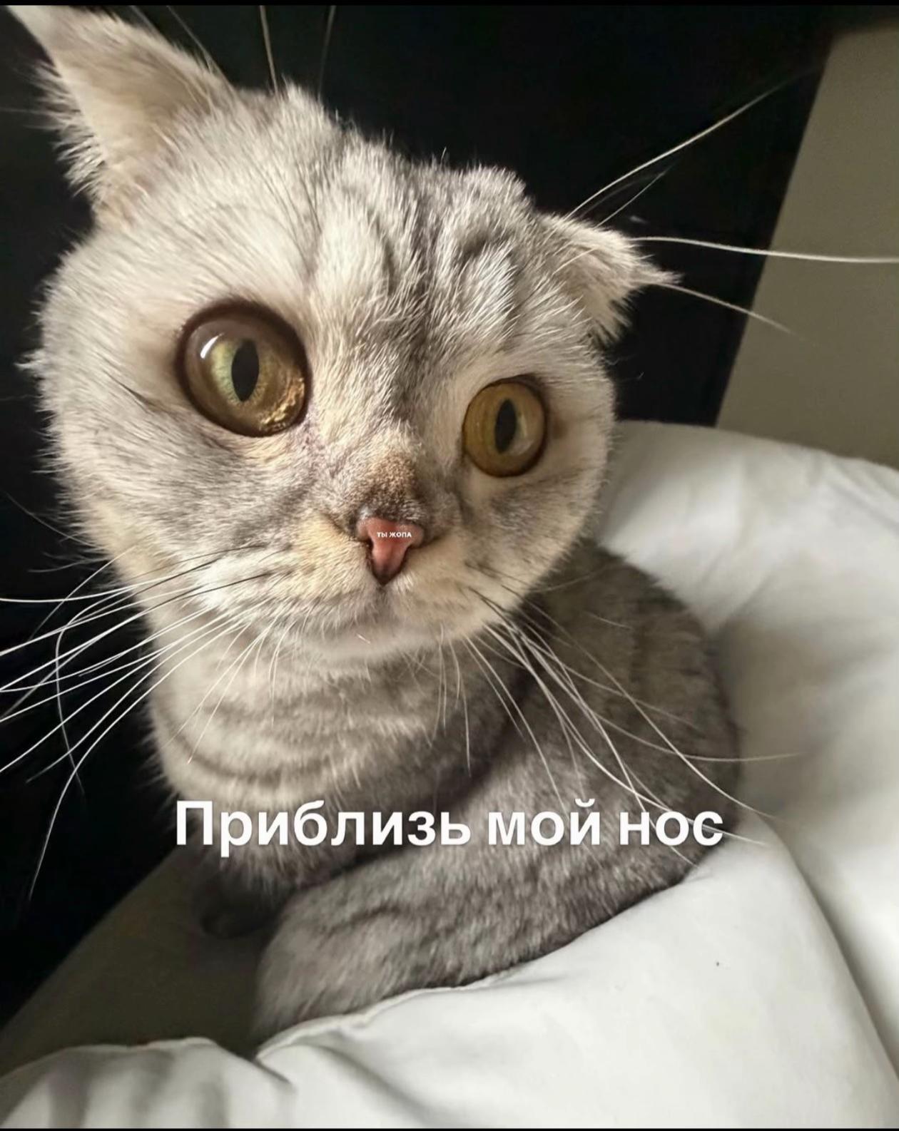@ИрочкаИра 🧸