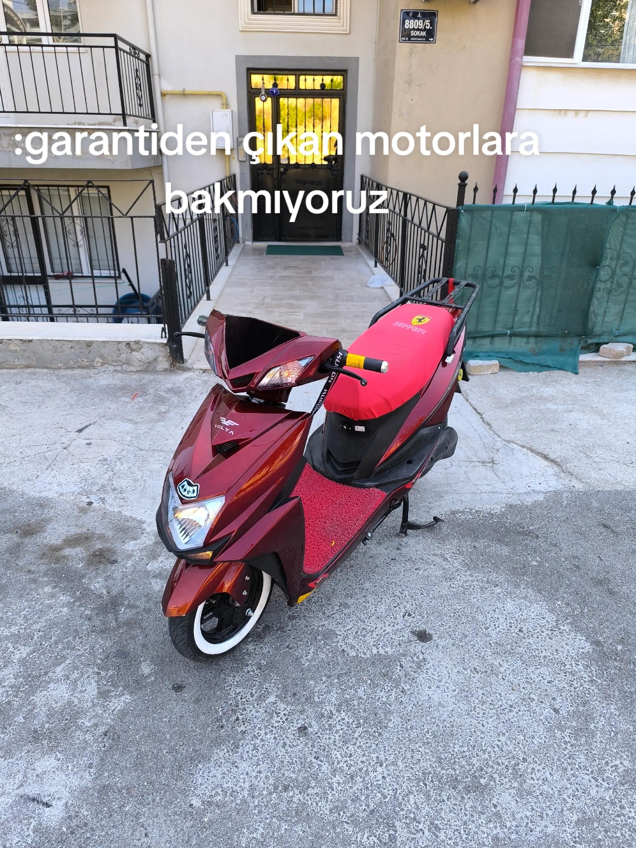 @selim sarıyiğit