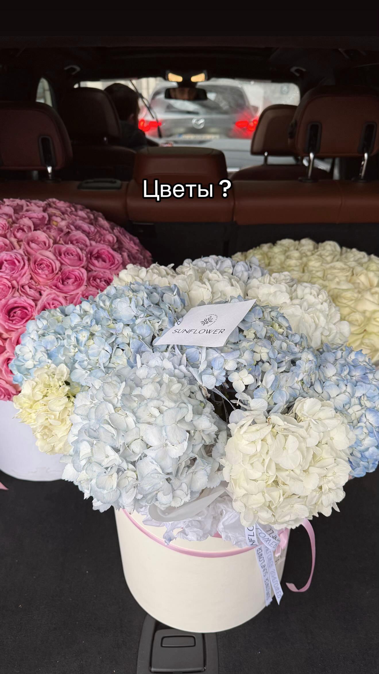@Makarovaanna