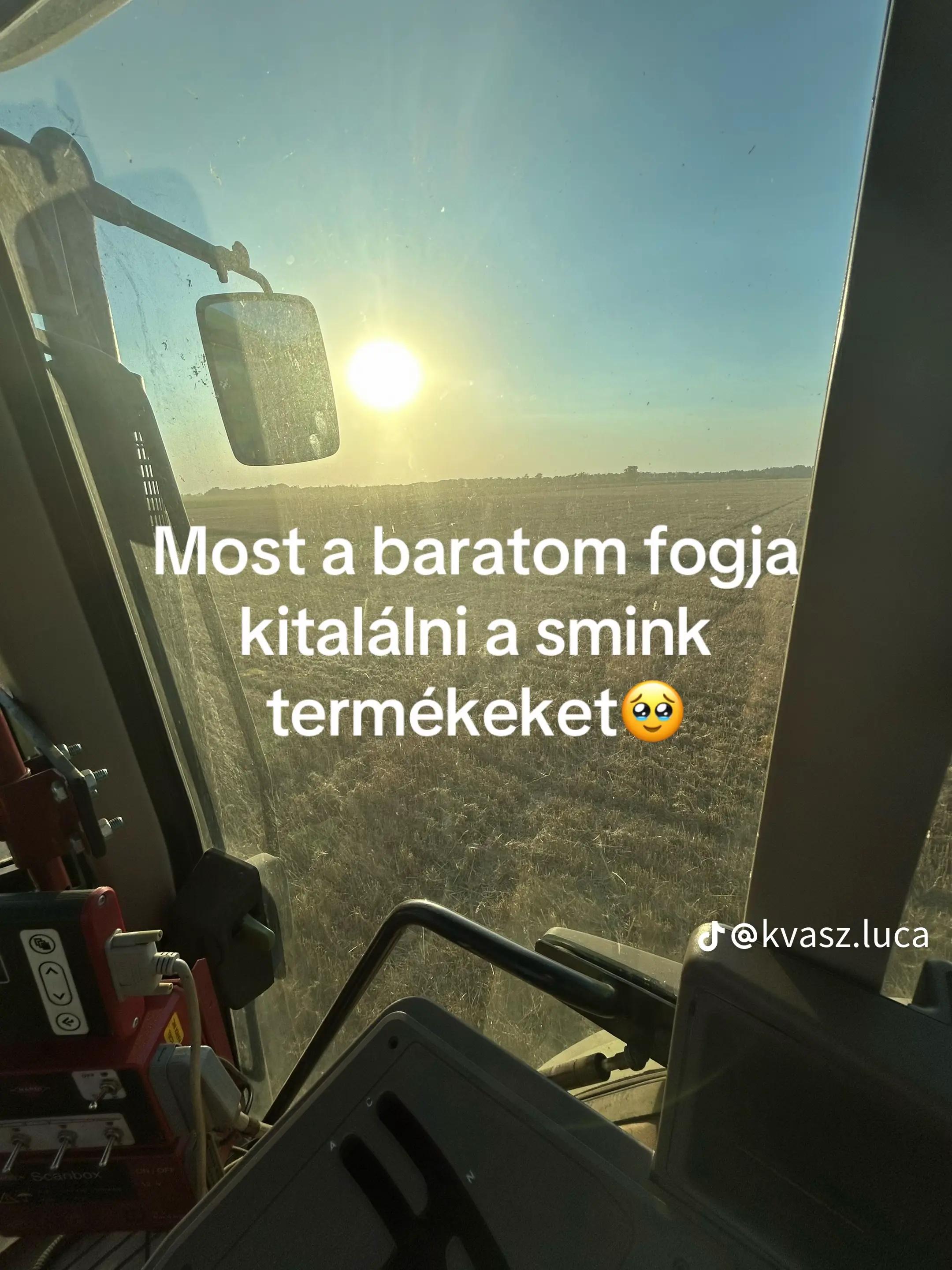 @csikos Lili