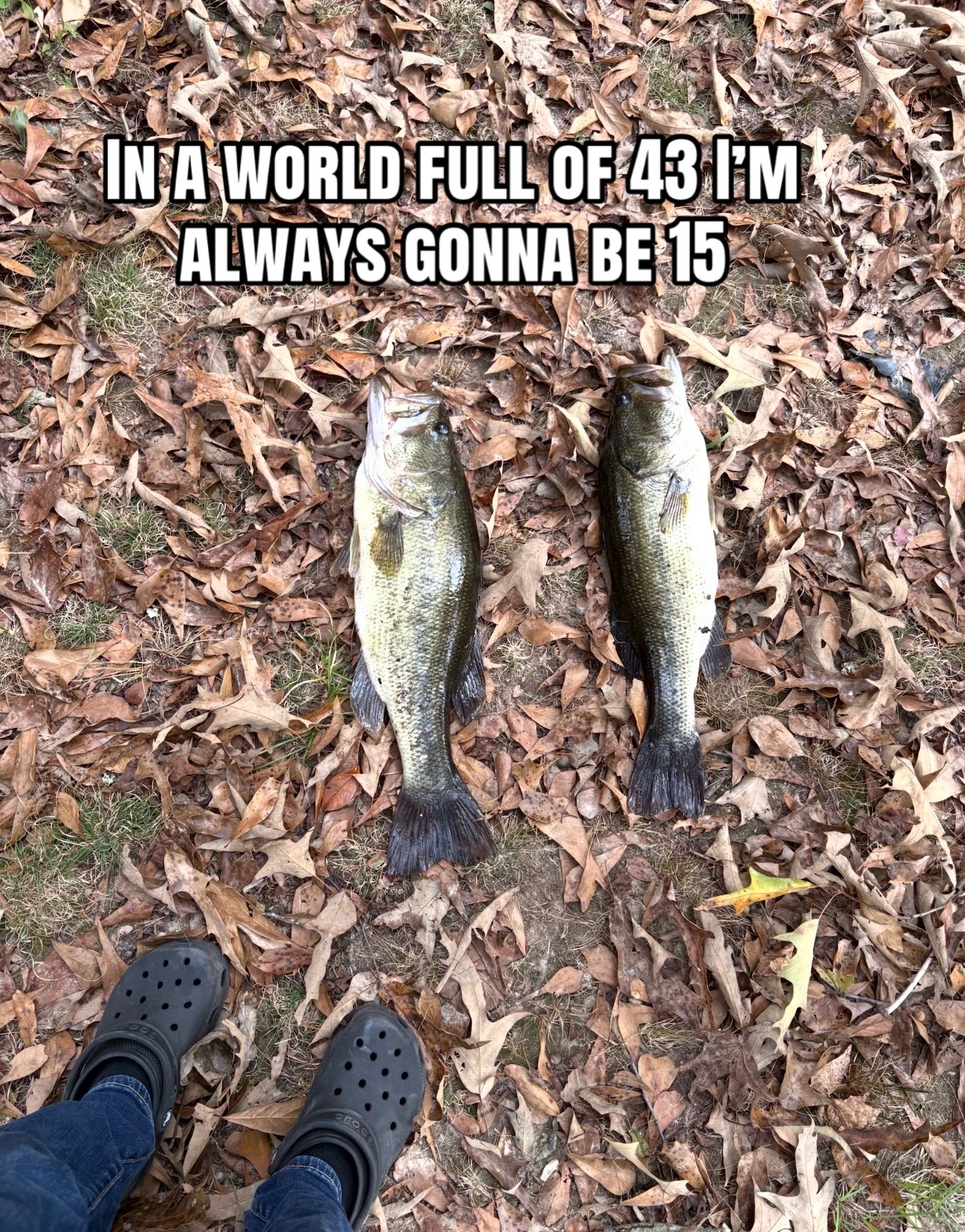 @Swfl.fishy