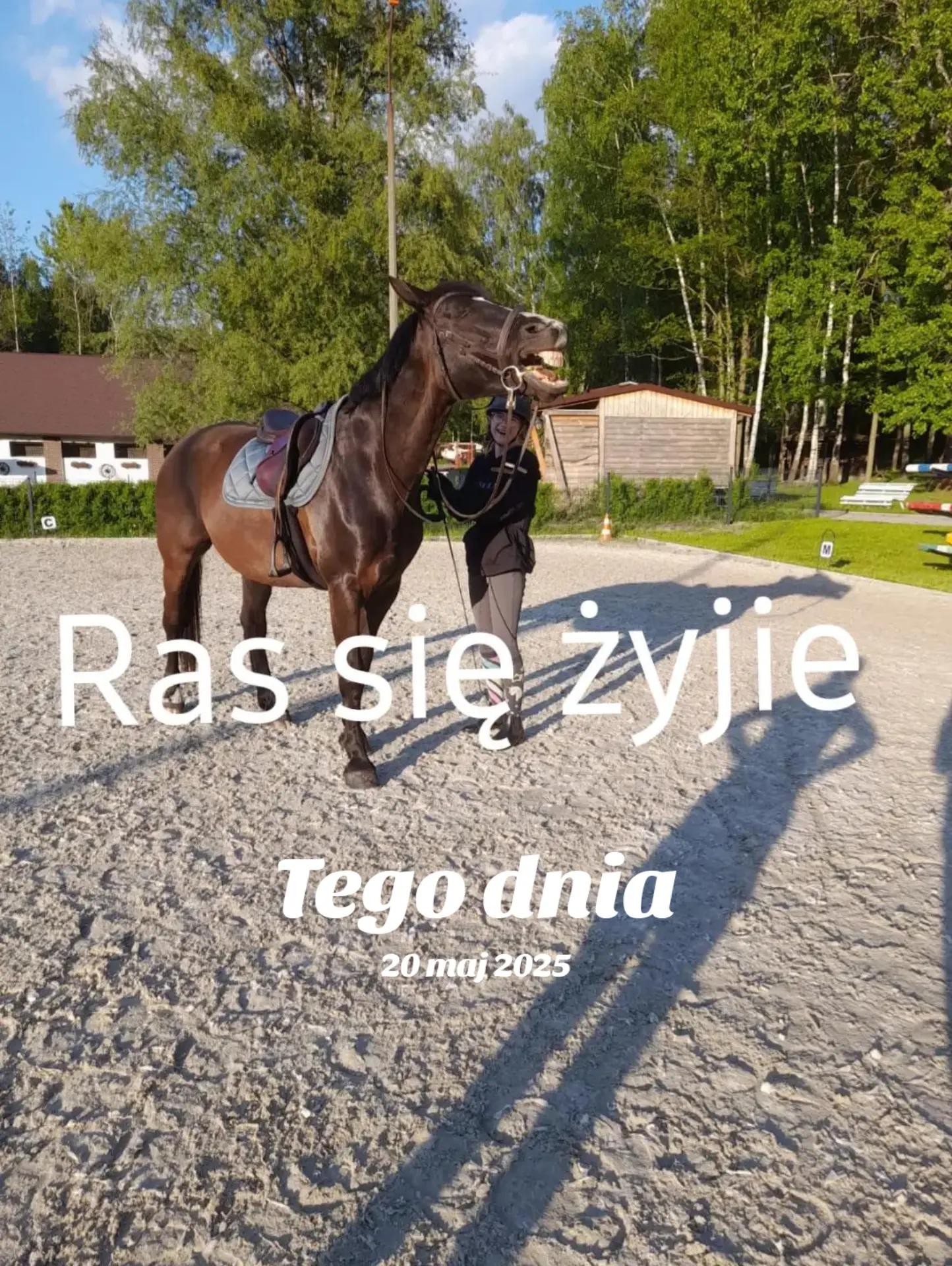 @Alla Oliwia