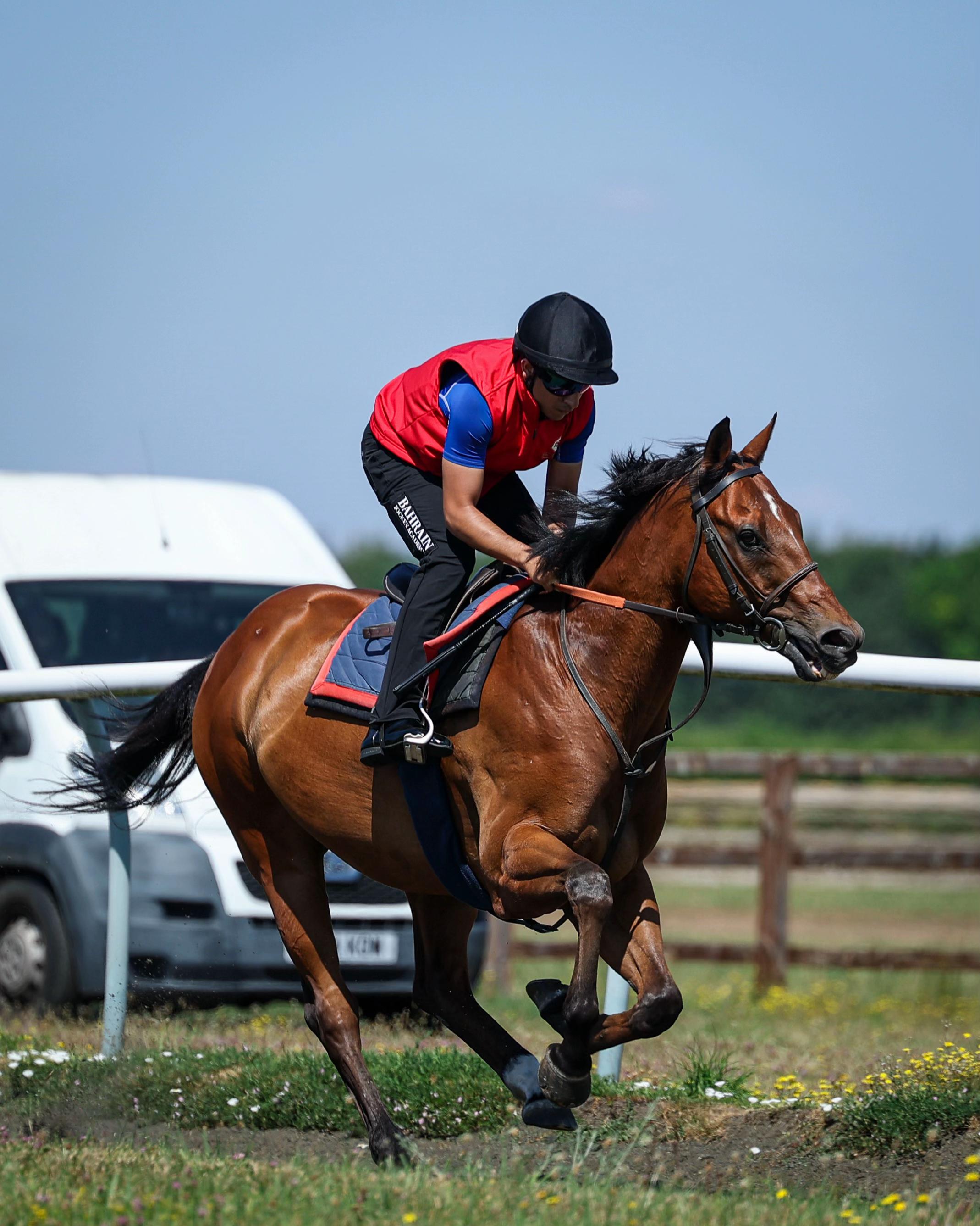 @Bahrain Turf Club