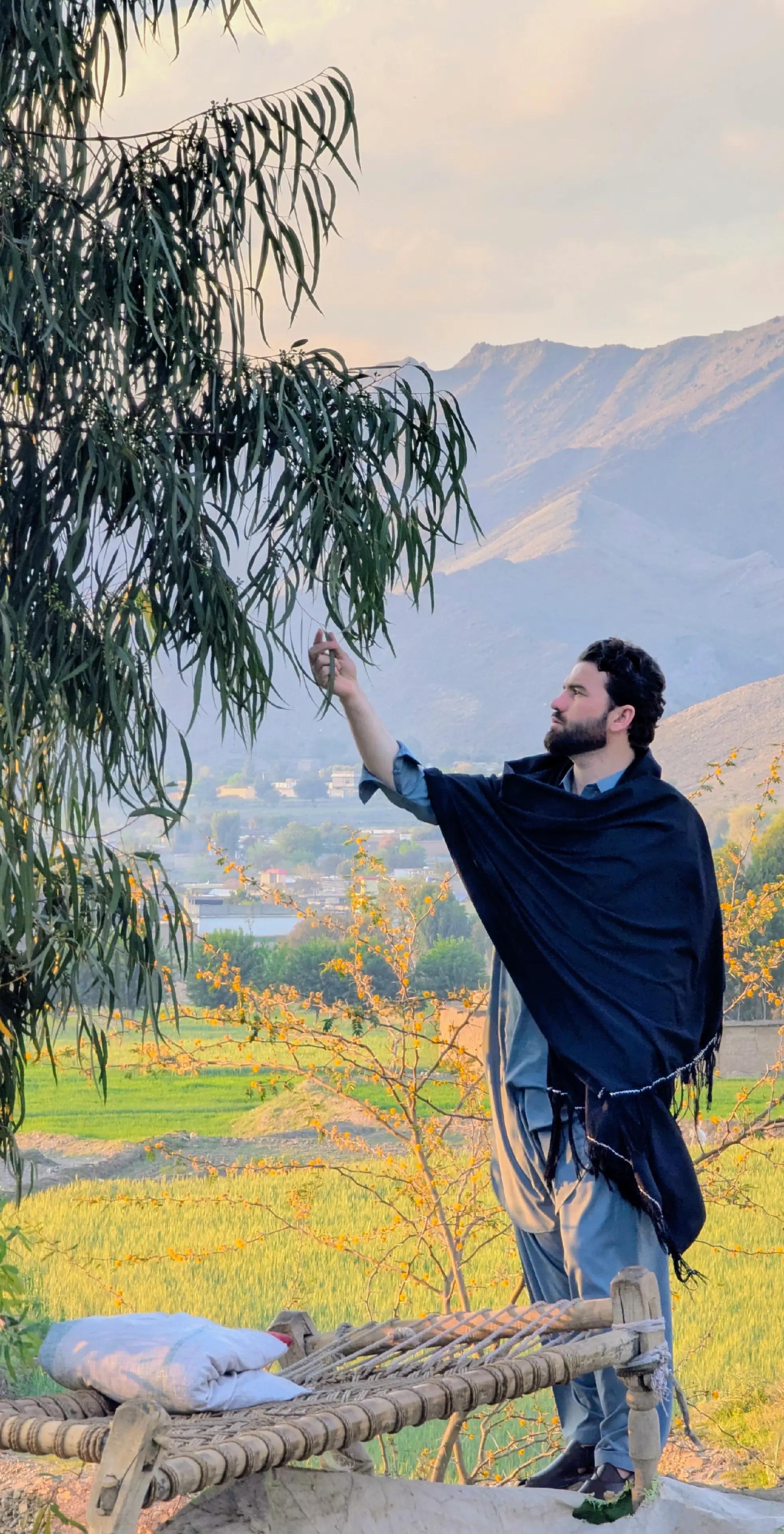 @️Zubair Mohmand