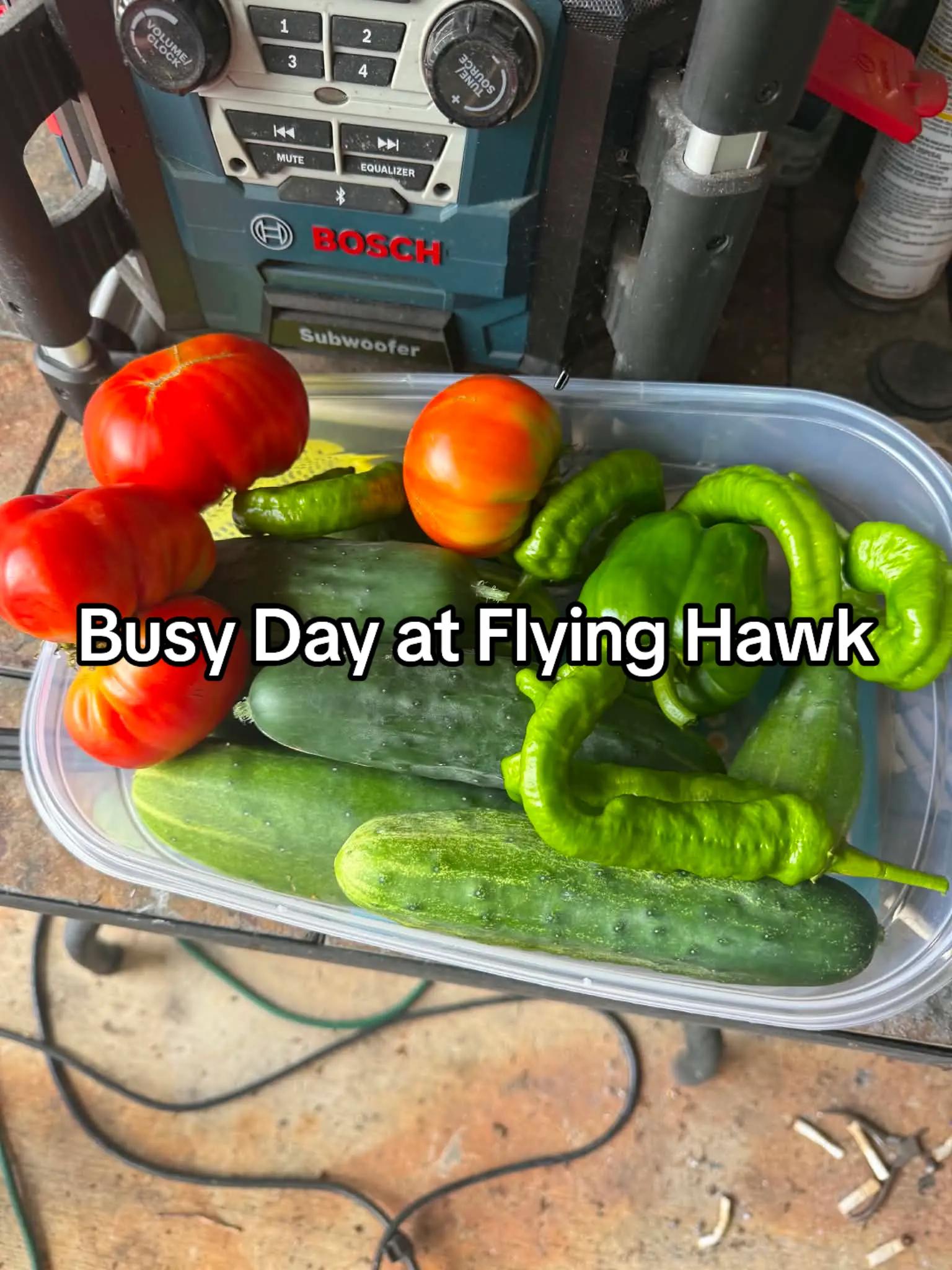@Flying Hawk Homestead