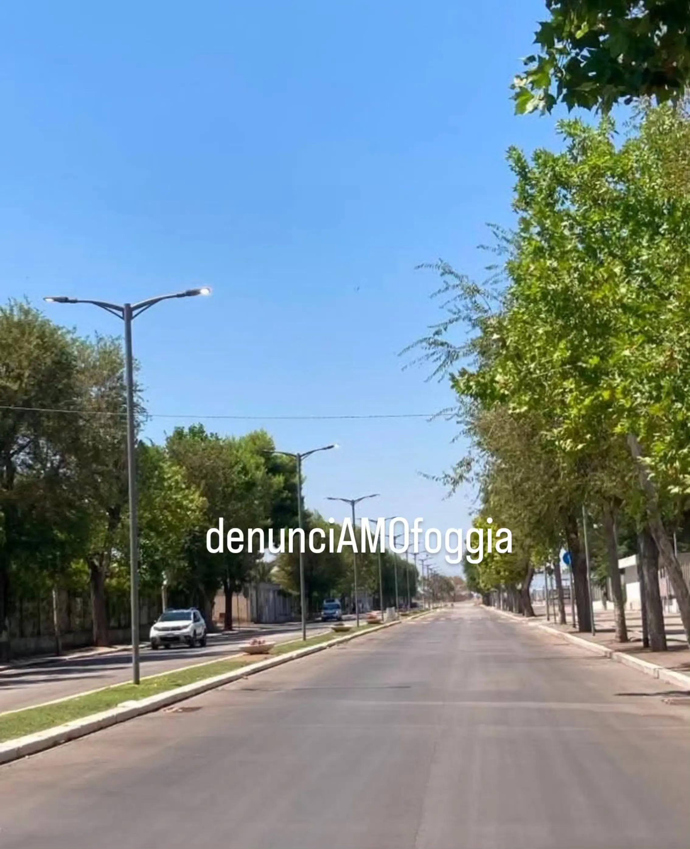 @denunciAMOfoggia
