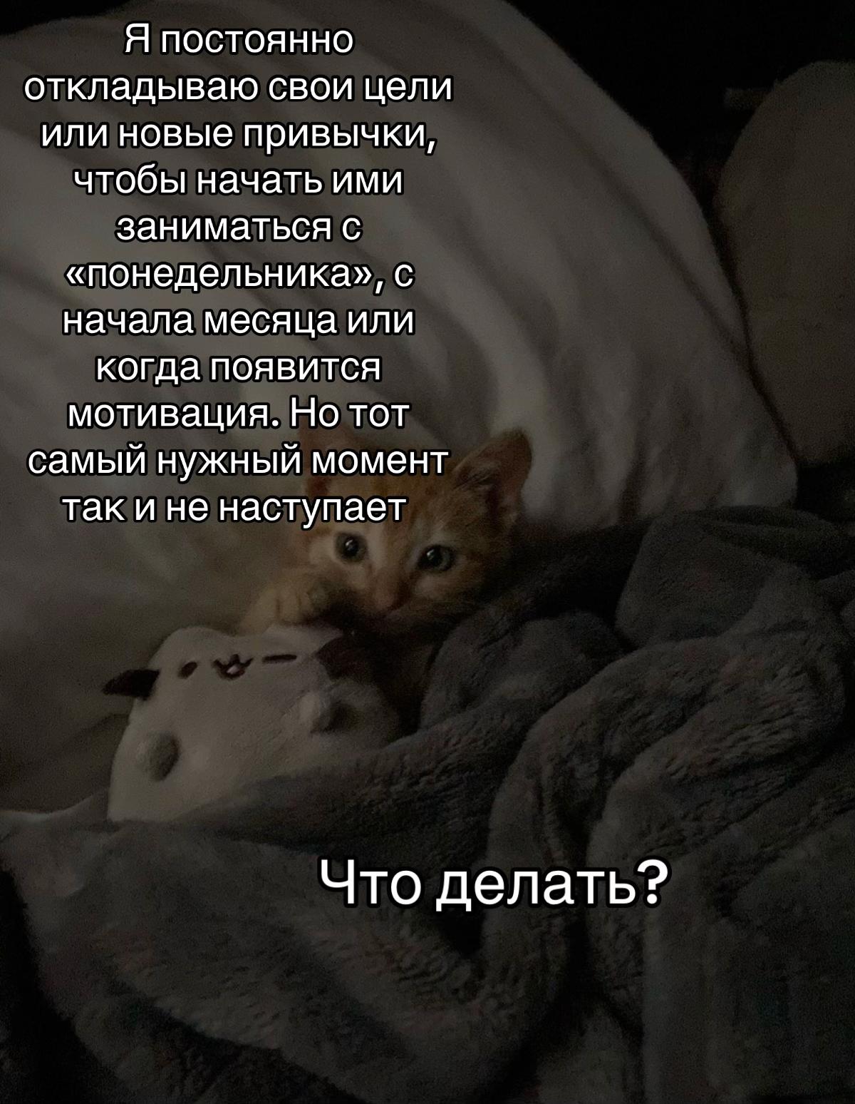 @тгк: психология с марго