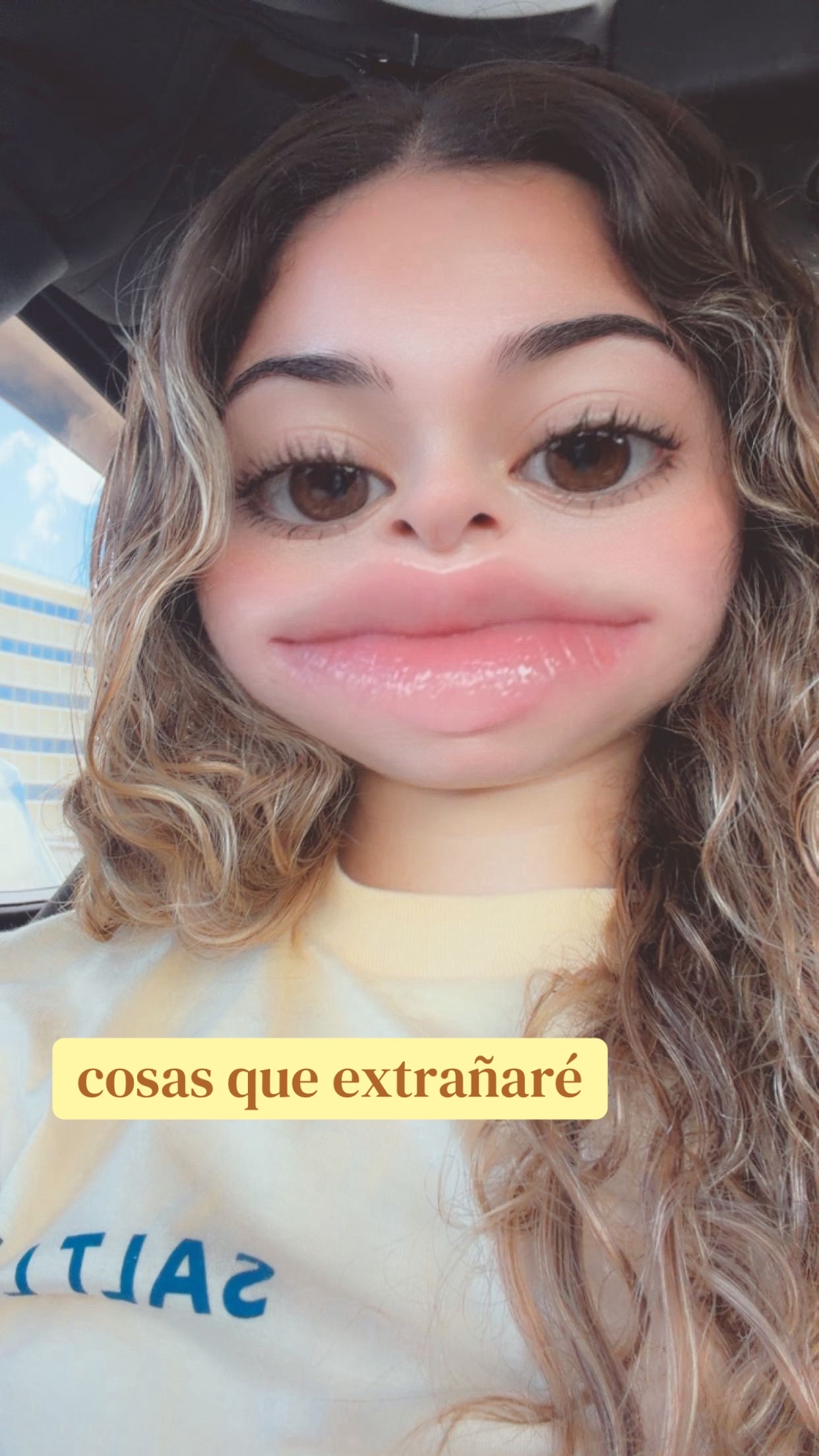 @🐒ophy