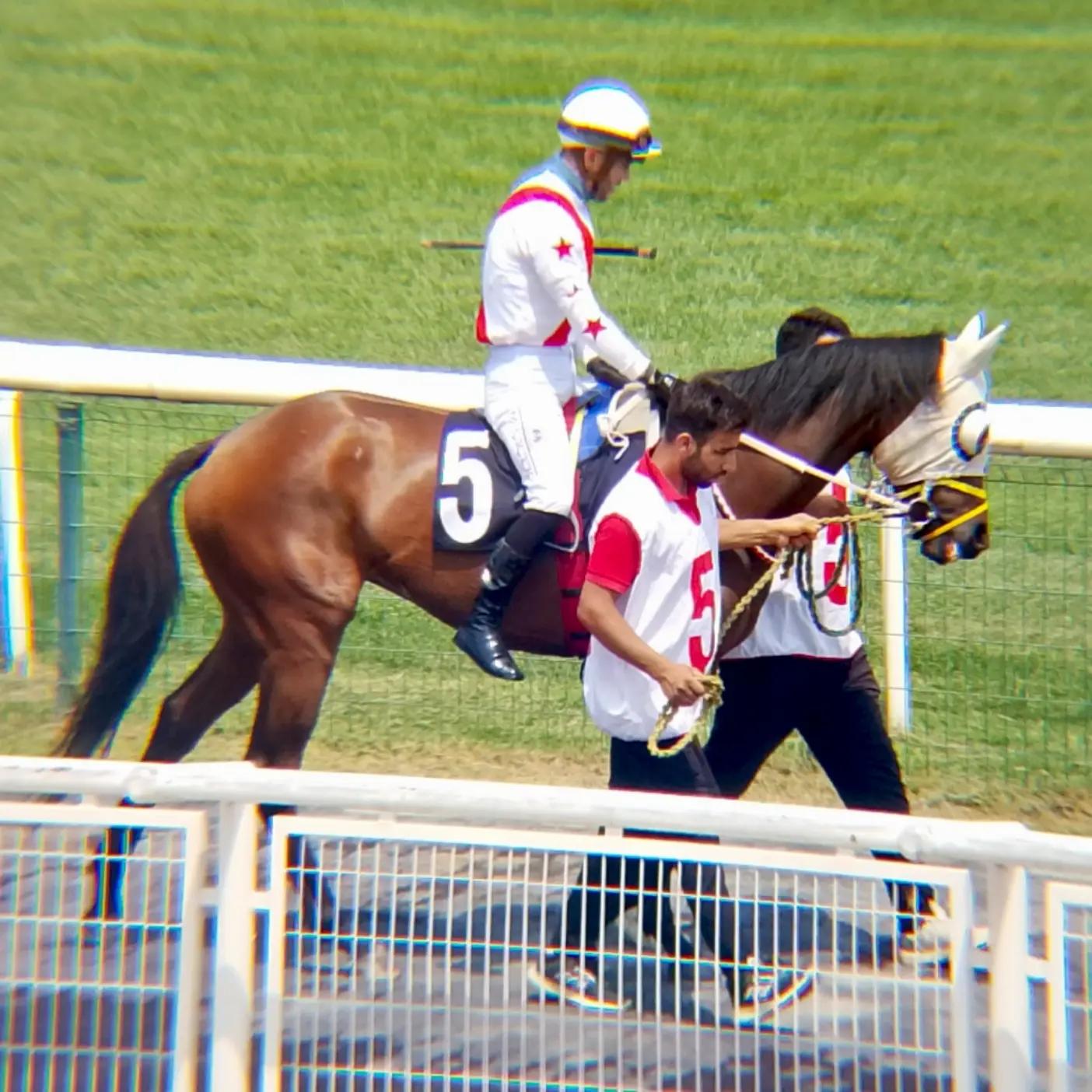 @brs horse racing