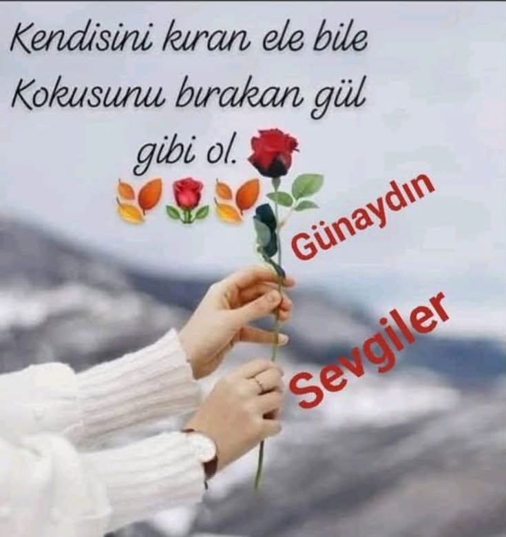@💙LEYLA❤️ SULTAN 💙