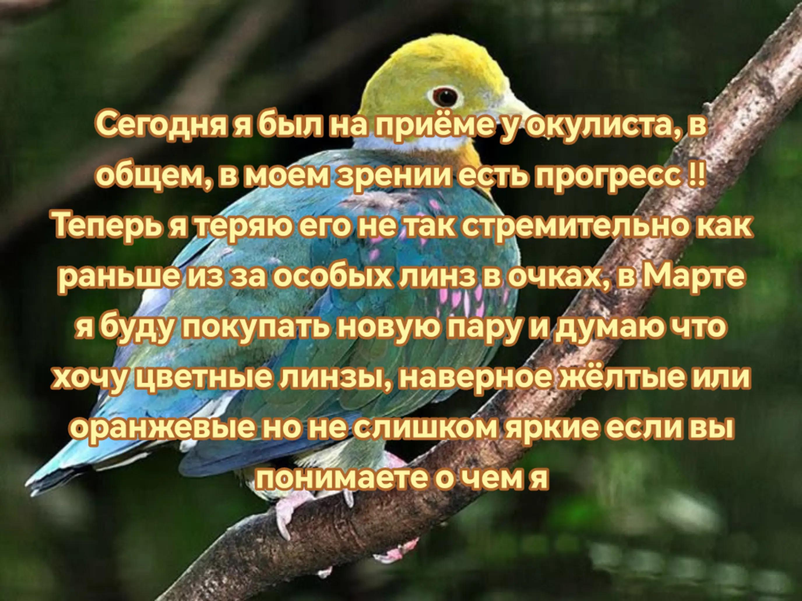 @♾️Чапис🪱 [🍋☎️🪲]
