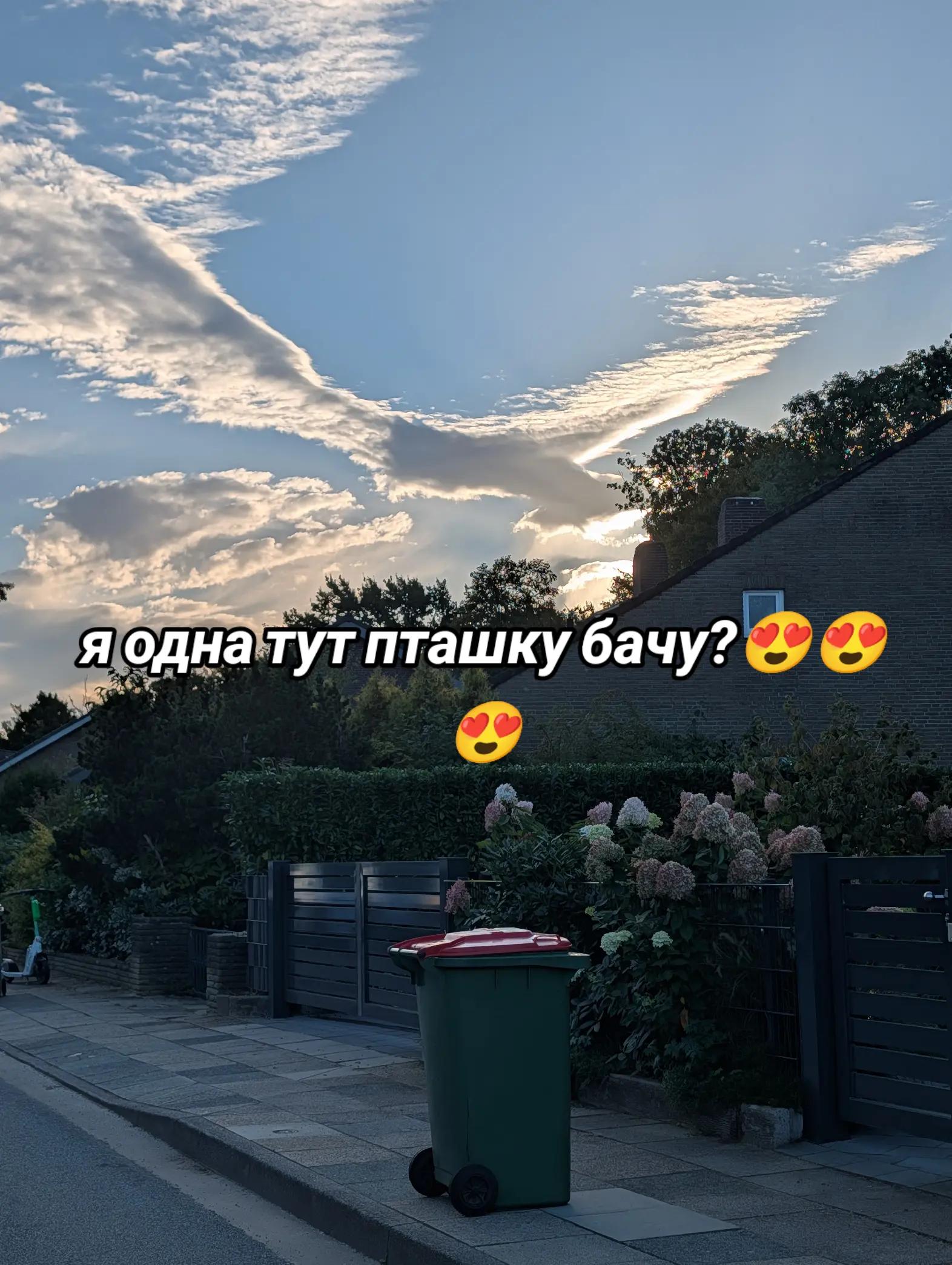 @Annetka 🇺🇦