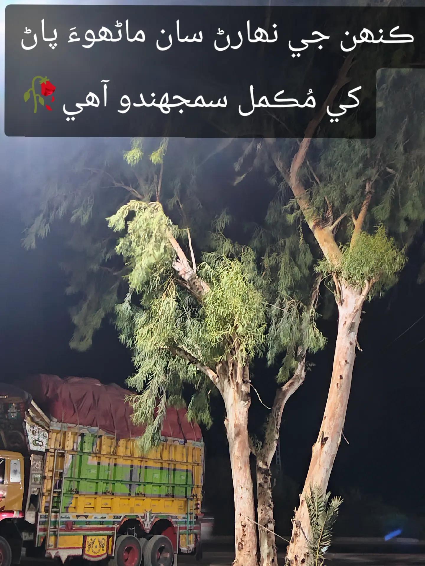 @ع ب ي د 🤫